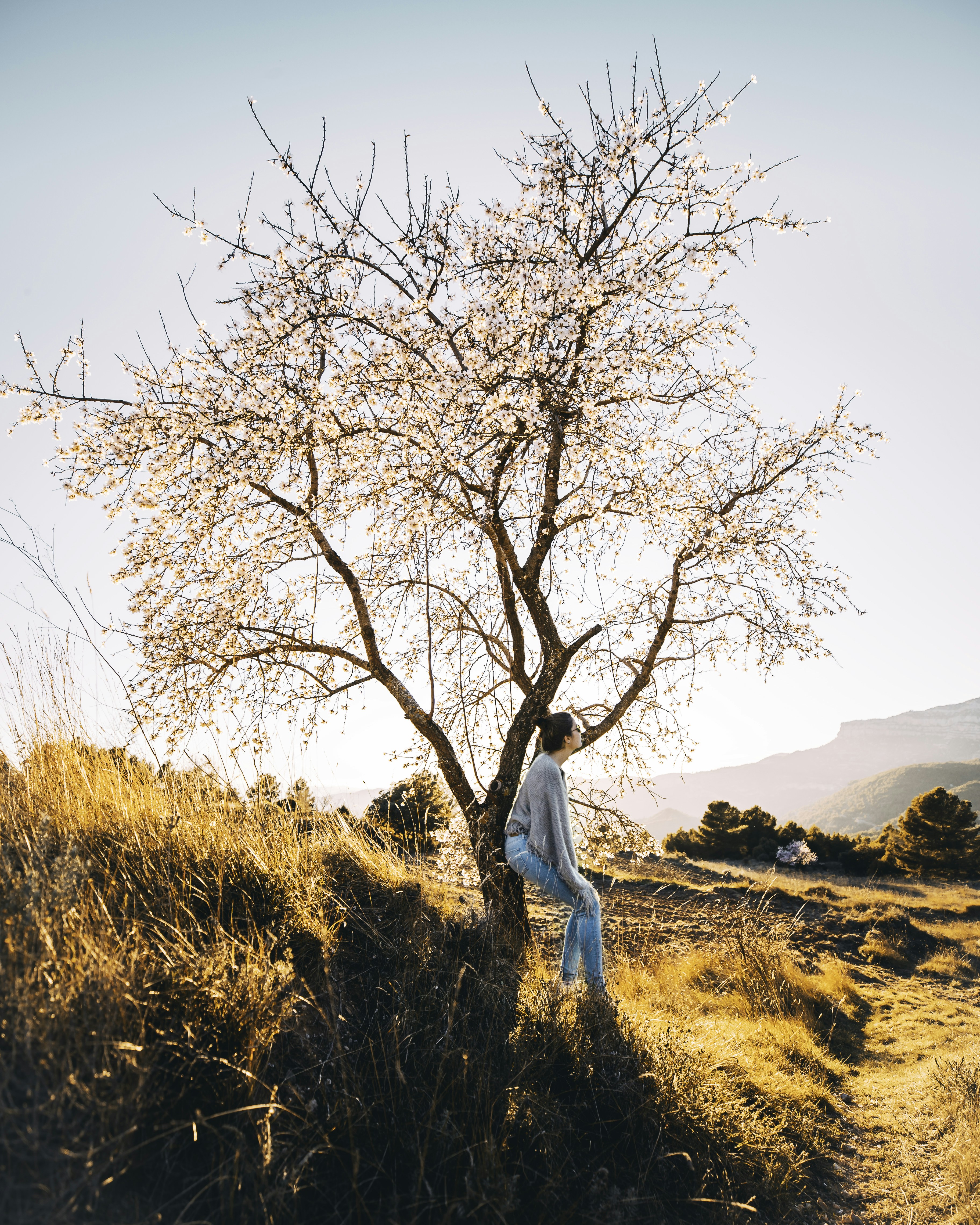 Woman Leaning on Blooming Tree