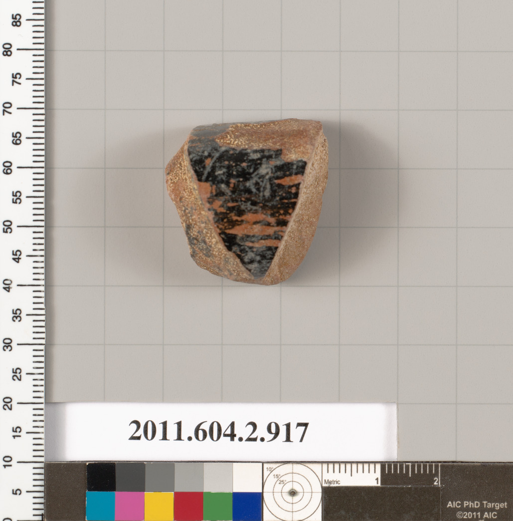 Archaeological Pottery Shard Specimen