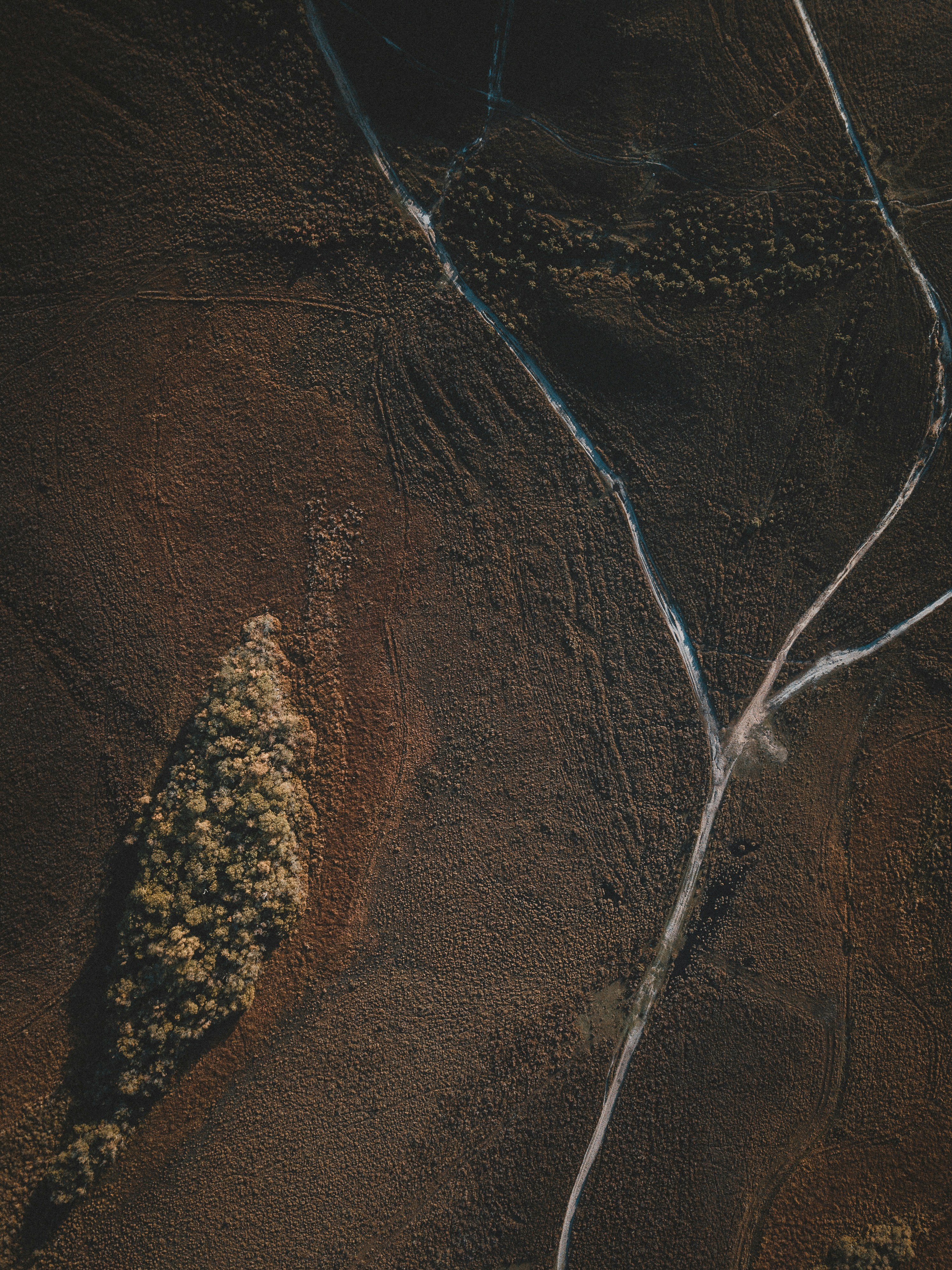 Aerial View of Autumn Wilderness