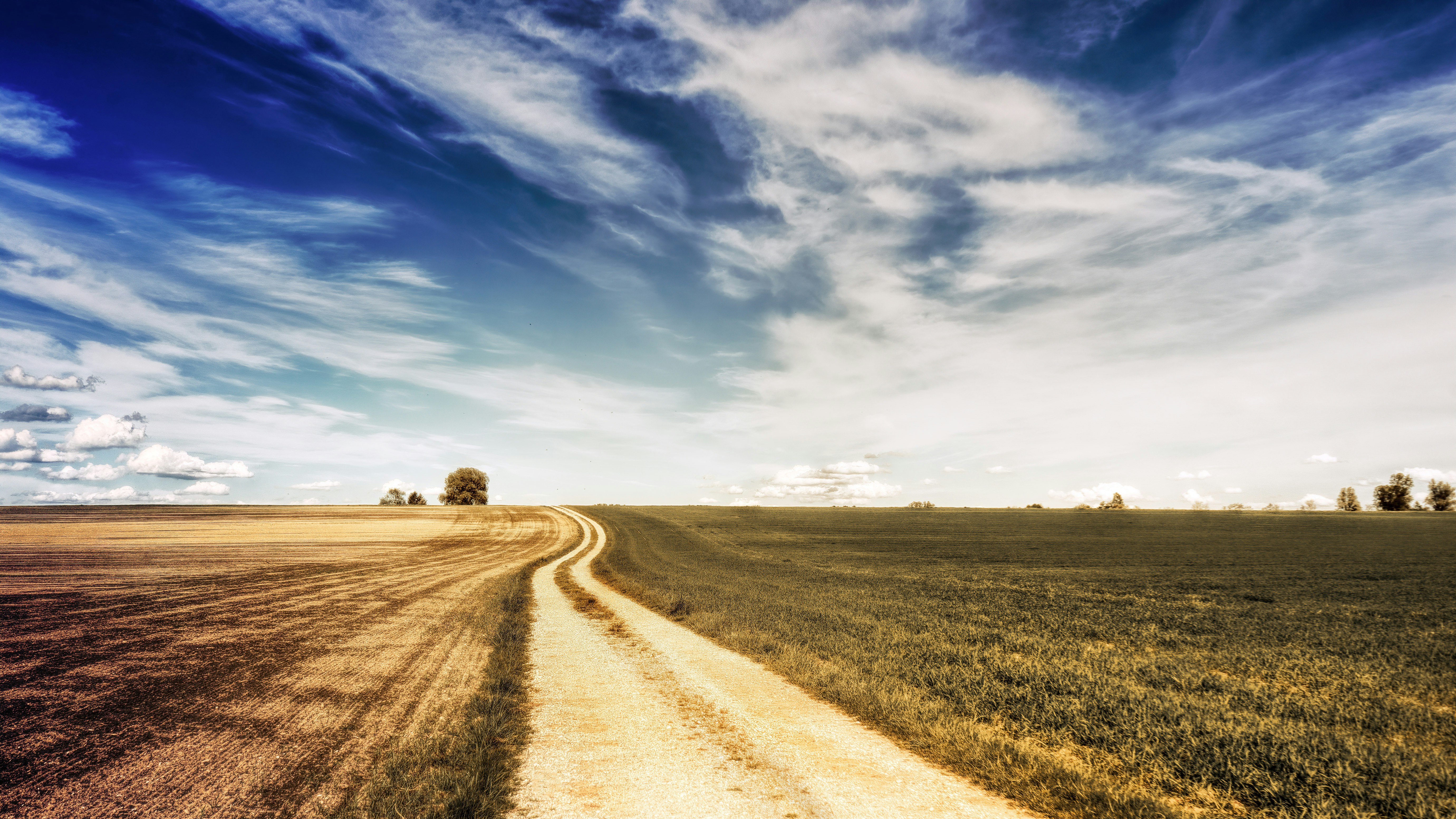 Winding Country Road Through Open Fields