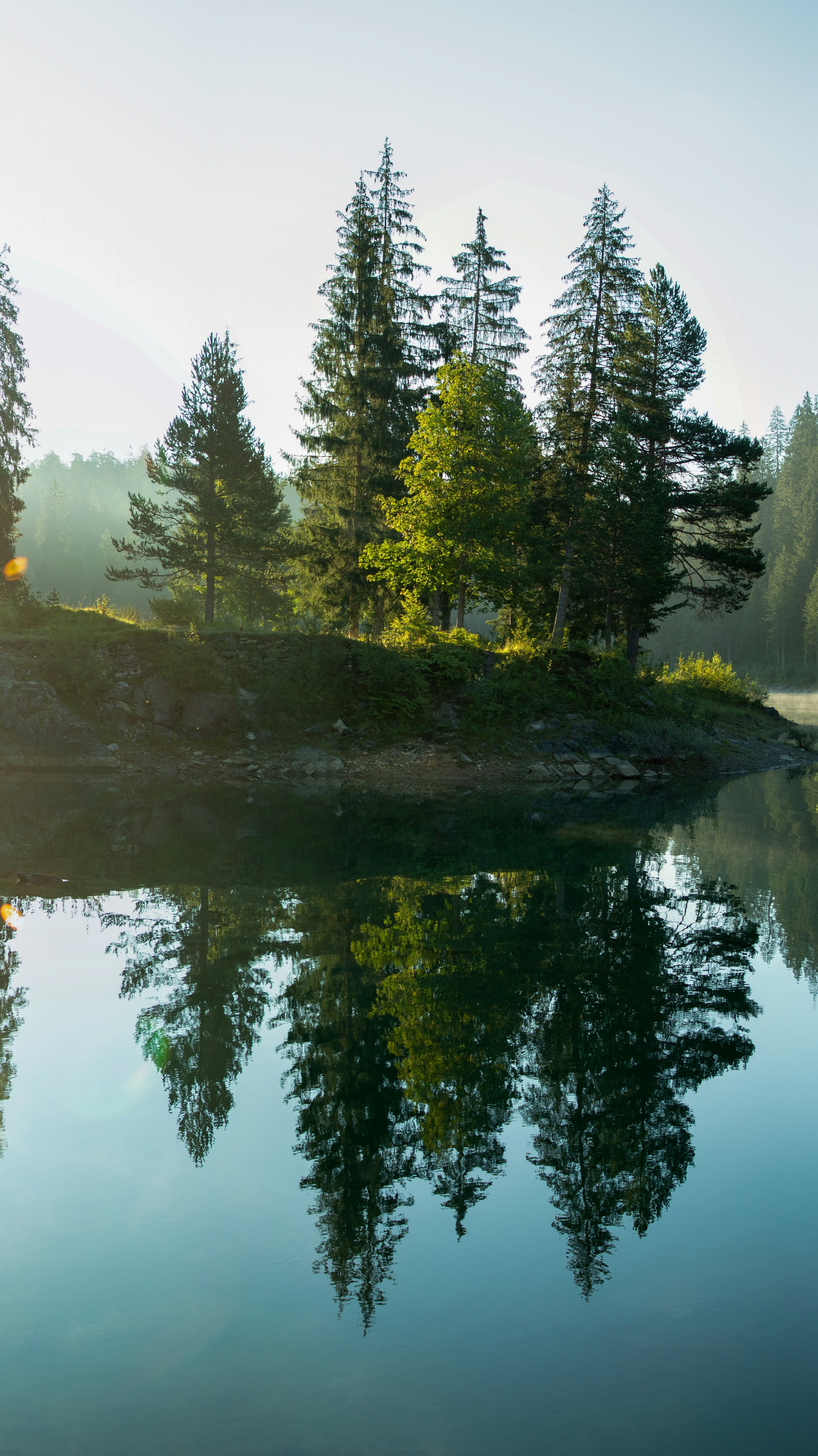 Forest Island Reflected in Calm Lake