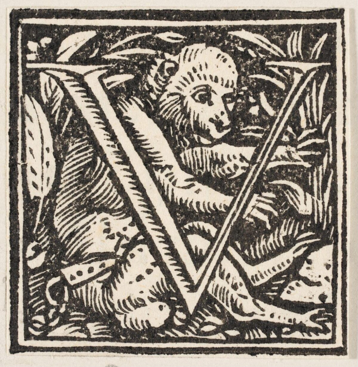 Woodcut Decorated Letter V With Monkey