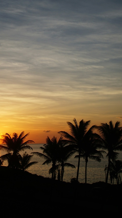 Silhouetted Palms at Ocean Sunset