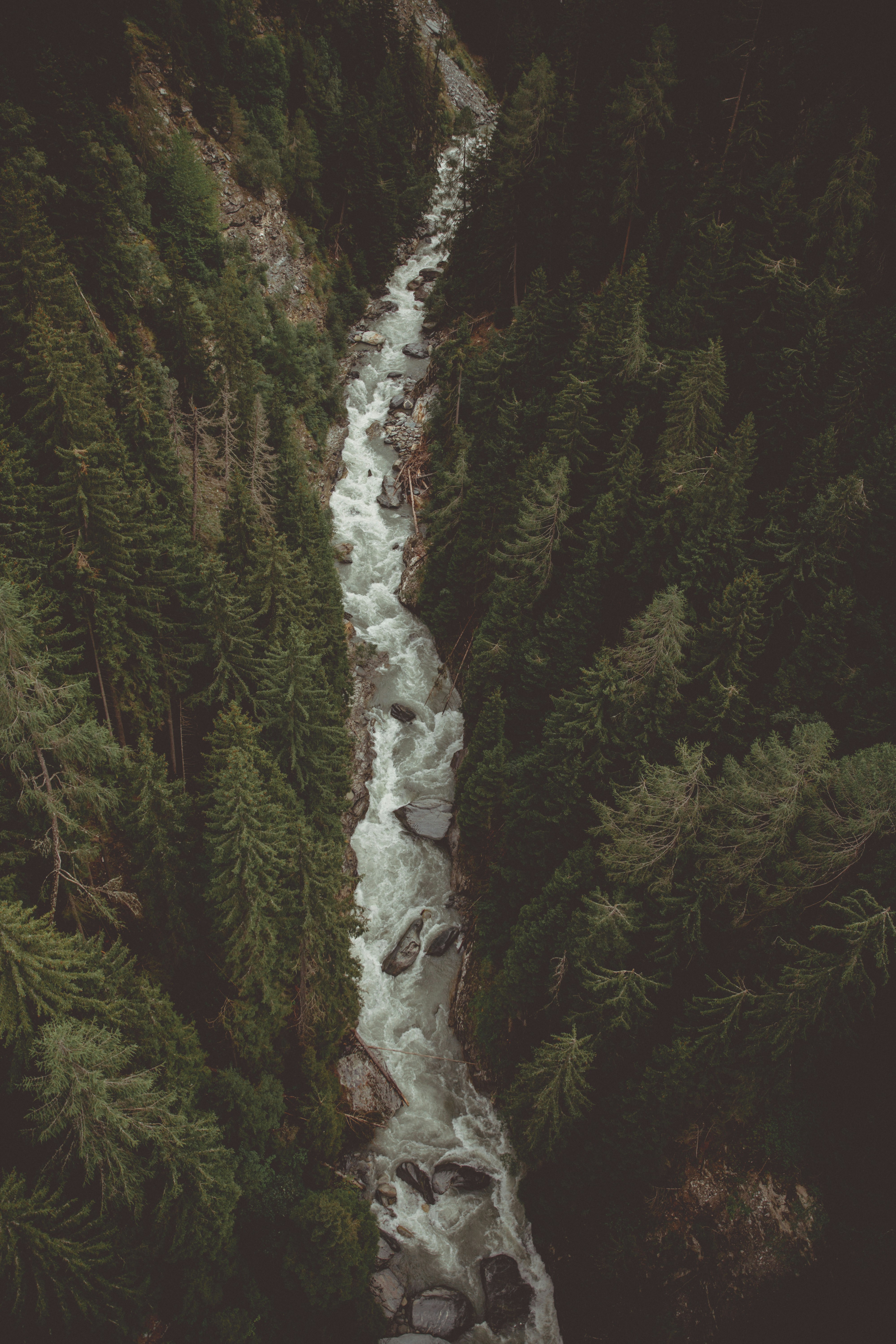 Mountain River Through Forested Gorge