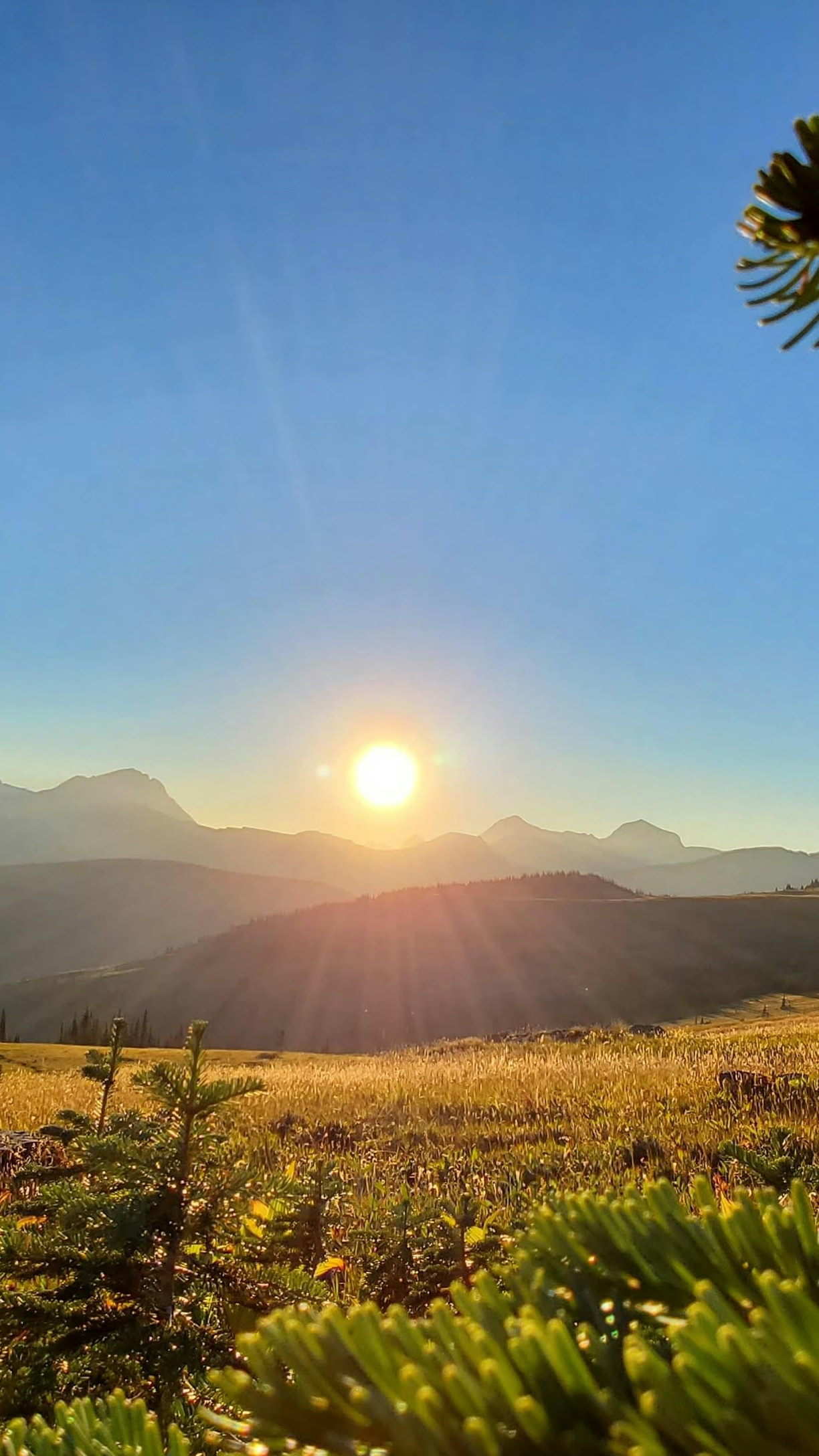 Mountain Sunrise Over Alpine Meadow