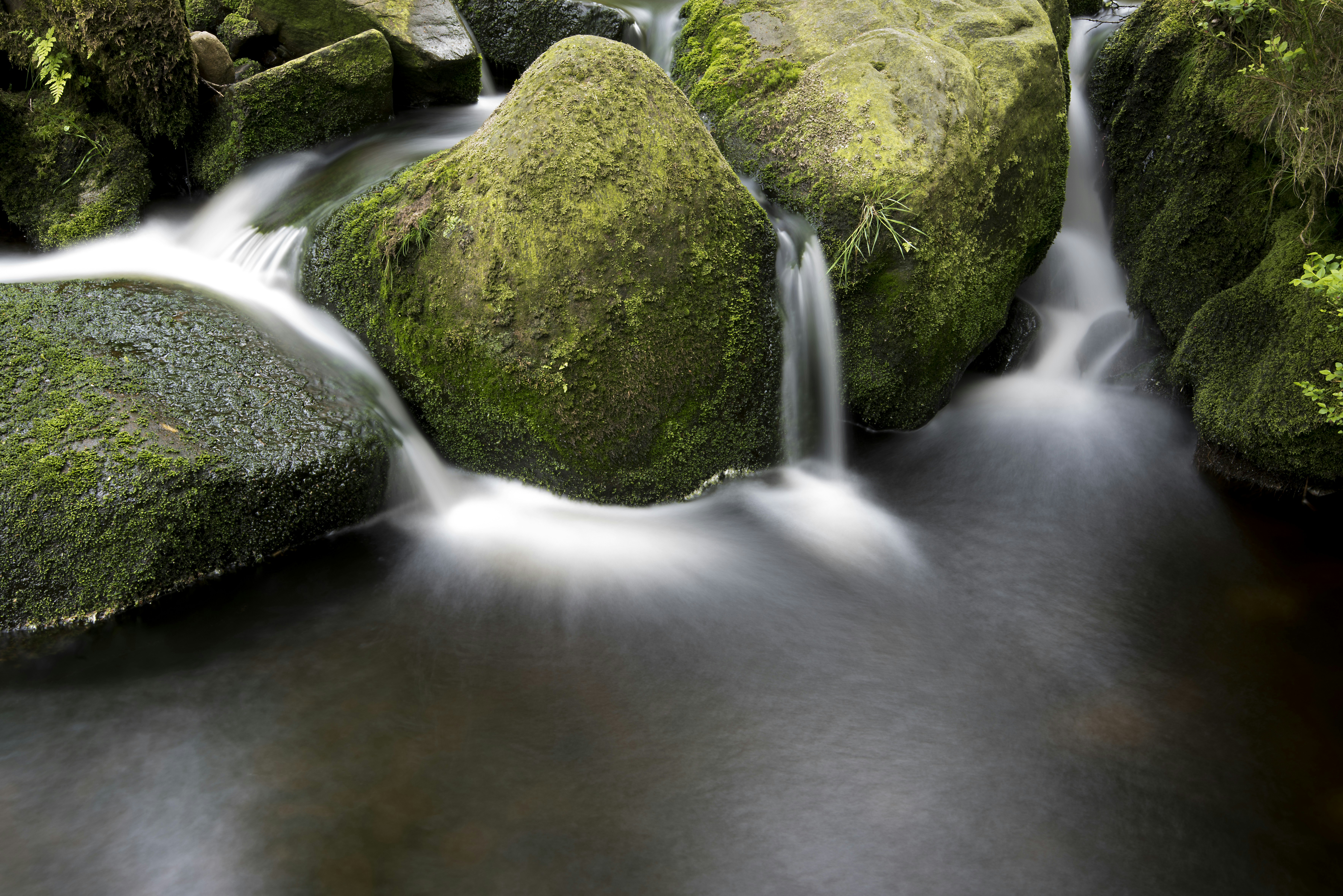 Stream Flowing Over Mossy Rocks
