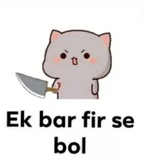 Angry Cat Hindi Meme