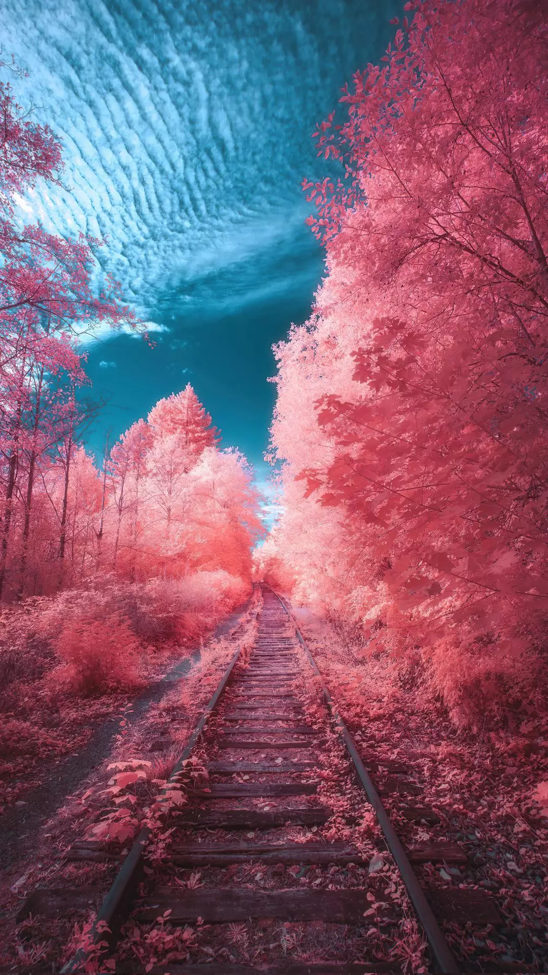 Wallpapers