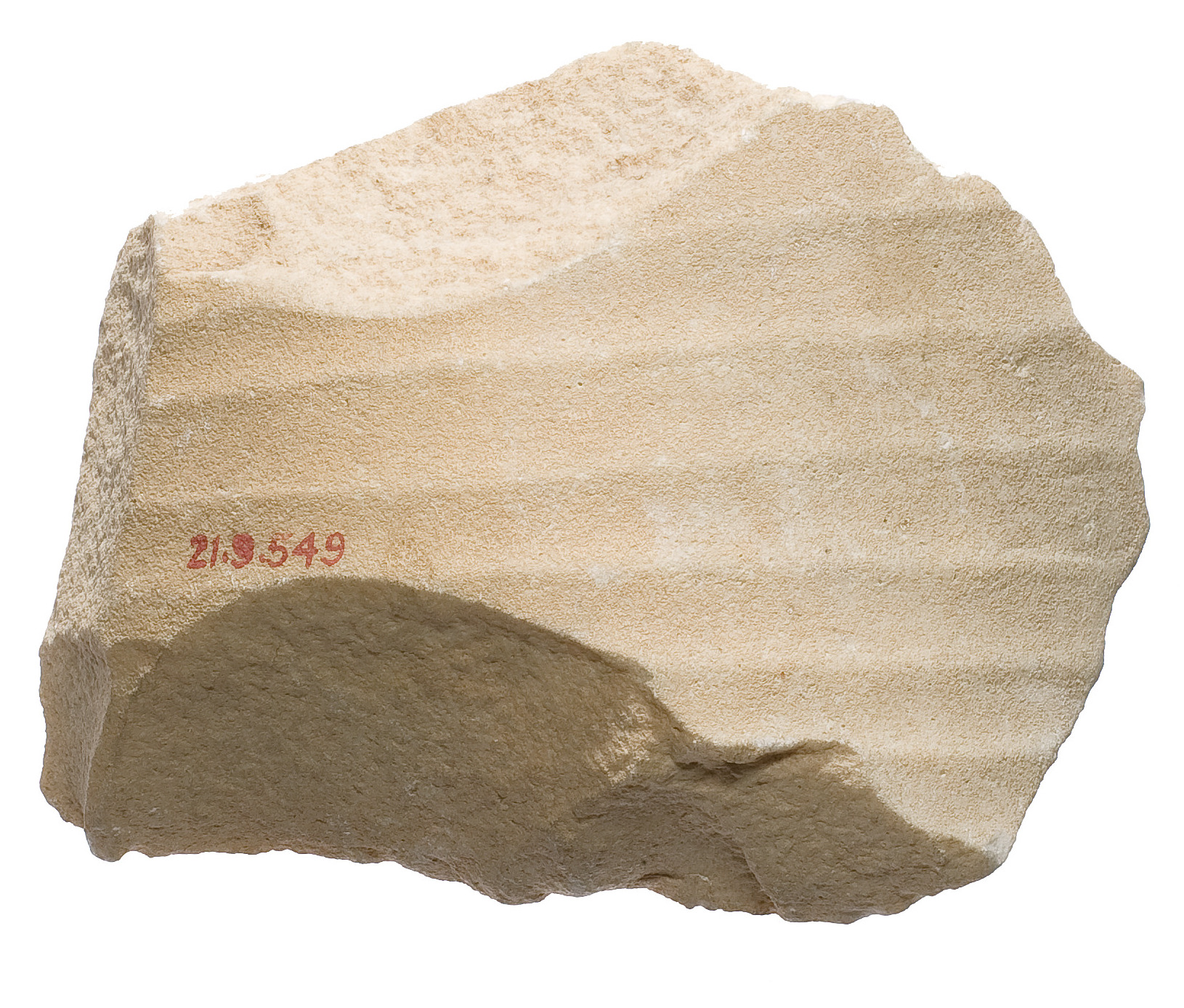 Light Beige Chalk Rock Specimen — Science