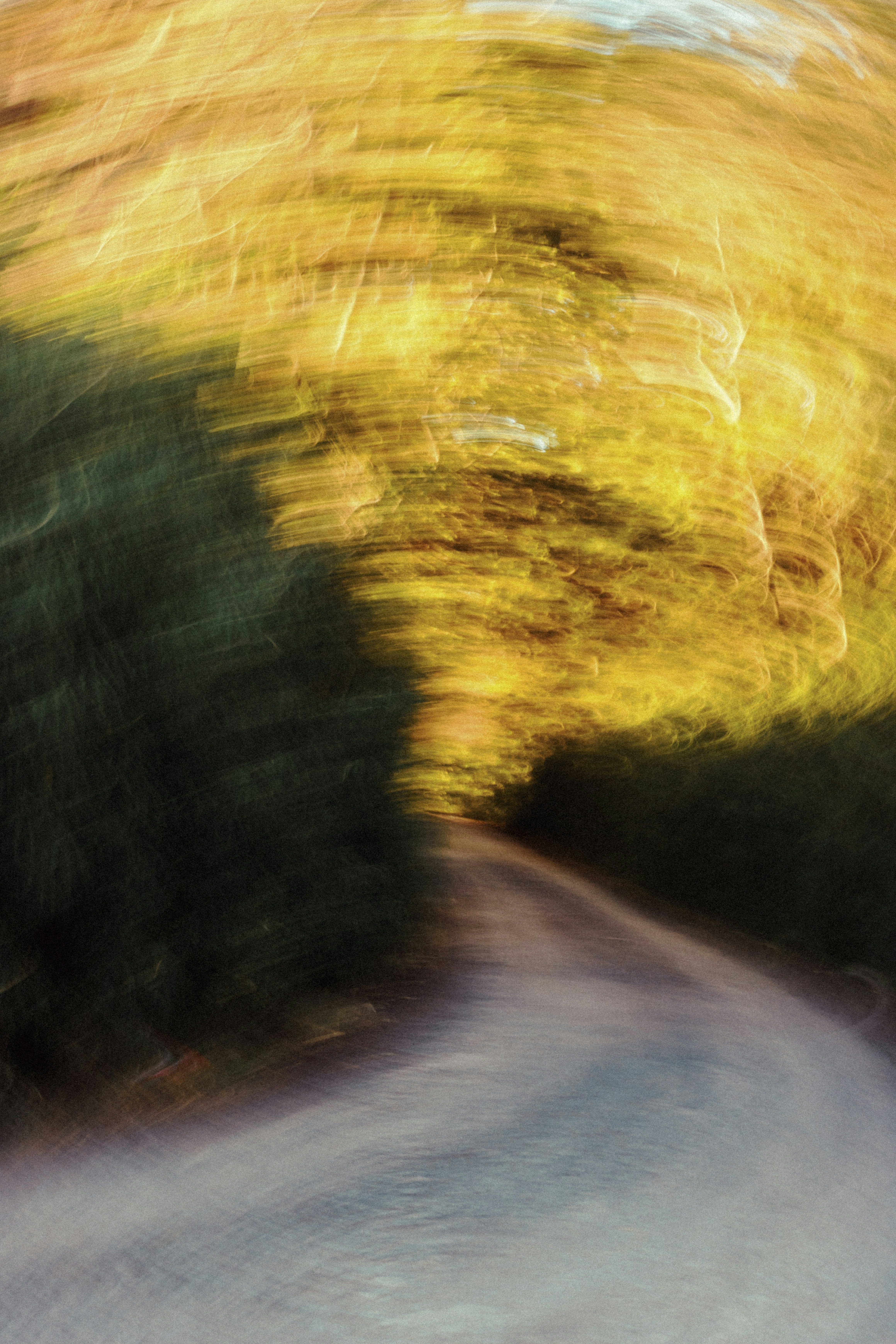 Blurred Autumn Path Through Woods