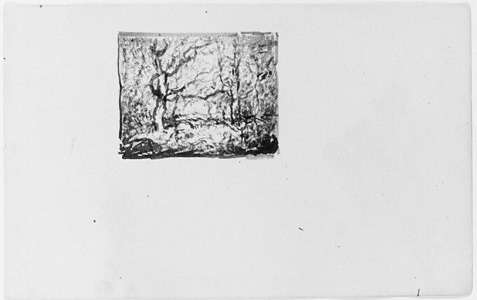 Monochrome Ink Sketch of Trees