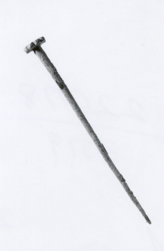 Corroded Old Iron Nail