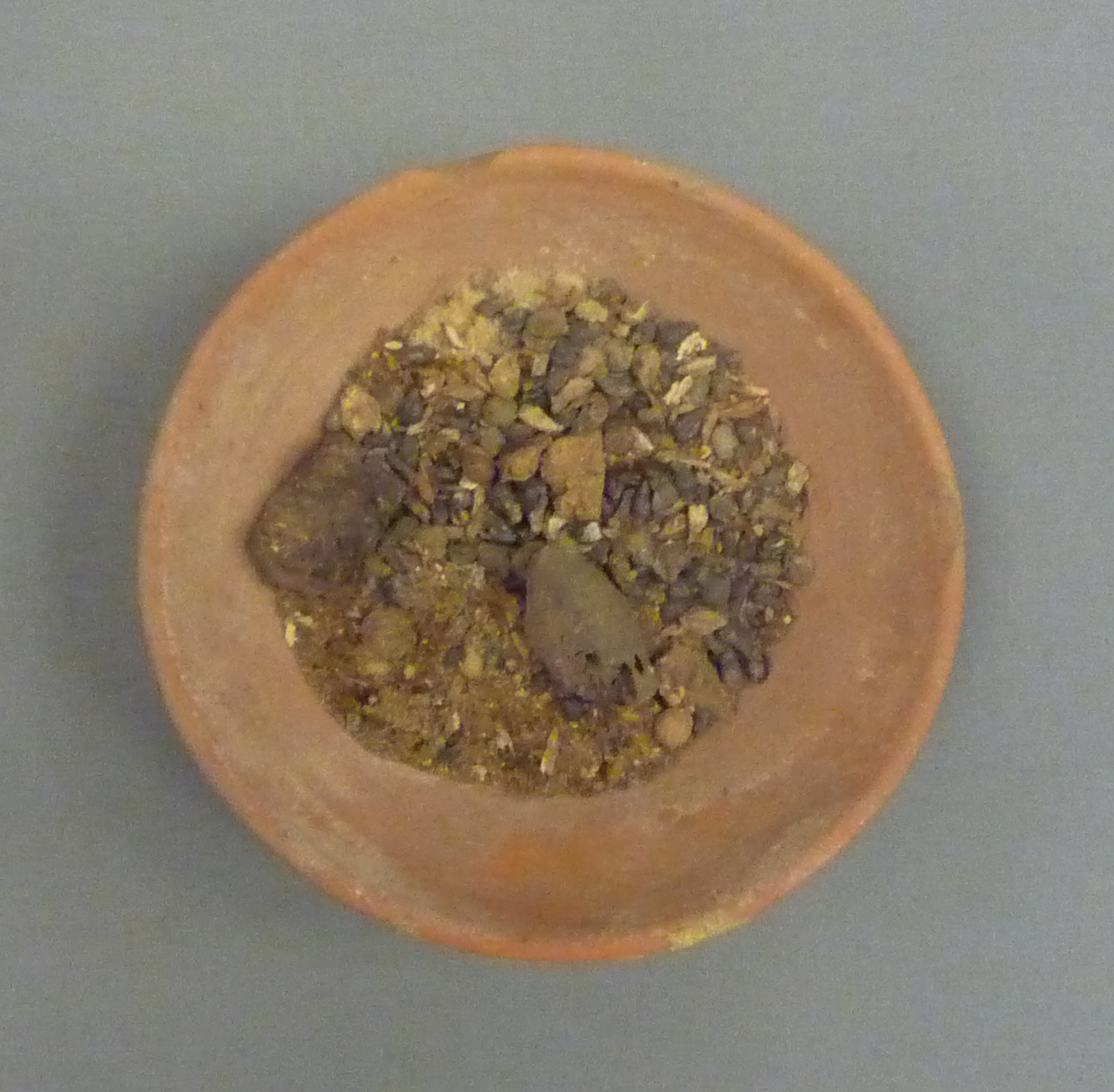 Ancient Seeds Preserved in Earthen Dish