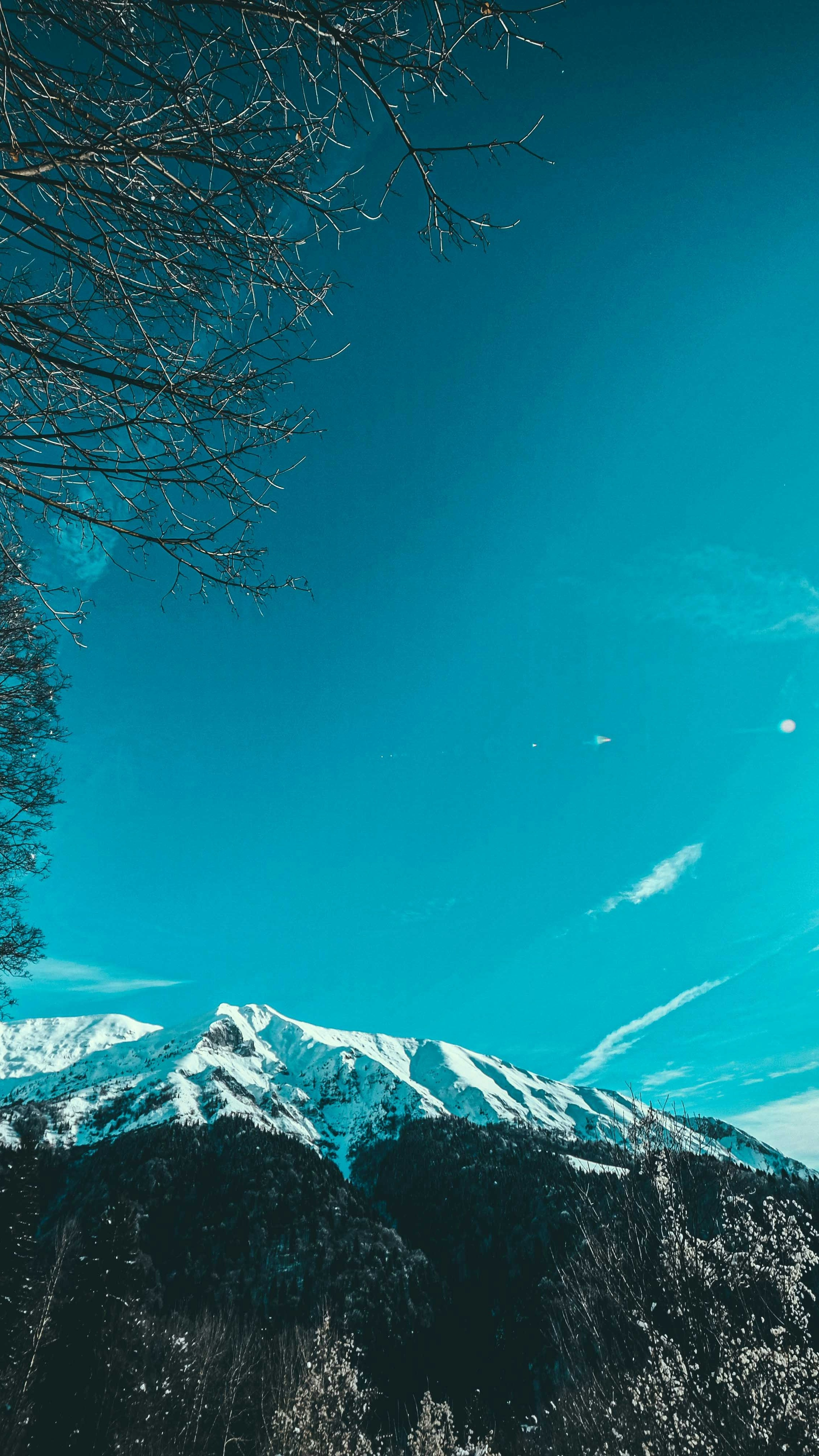 Wallpapers