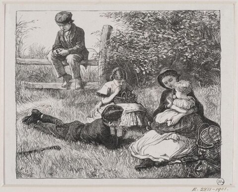 Group Picnicking on Countryside Grass