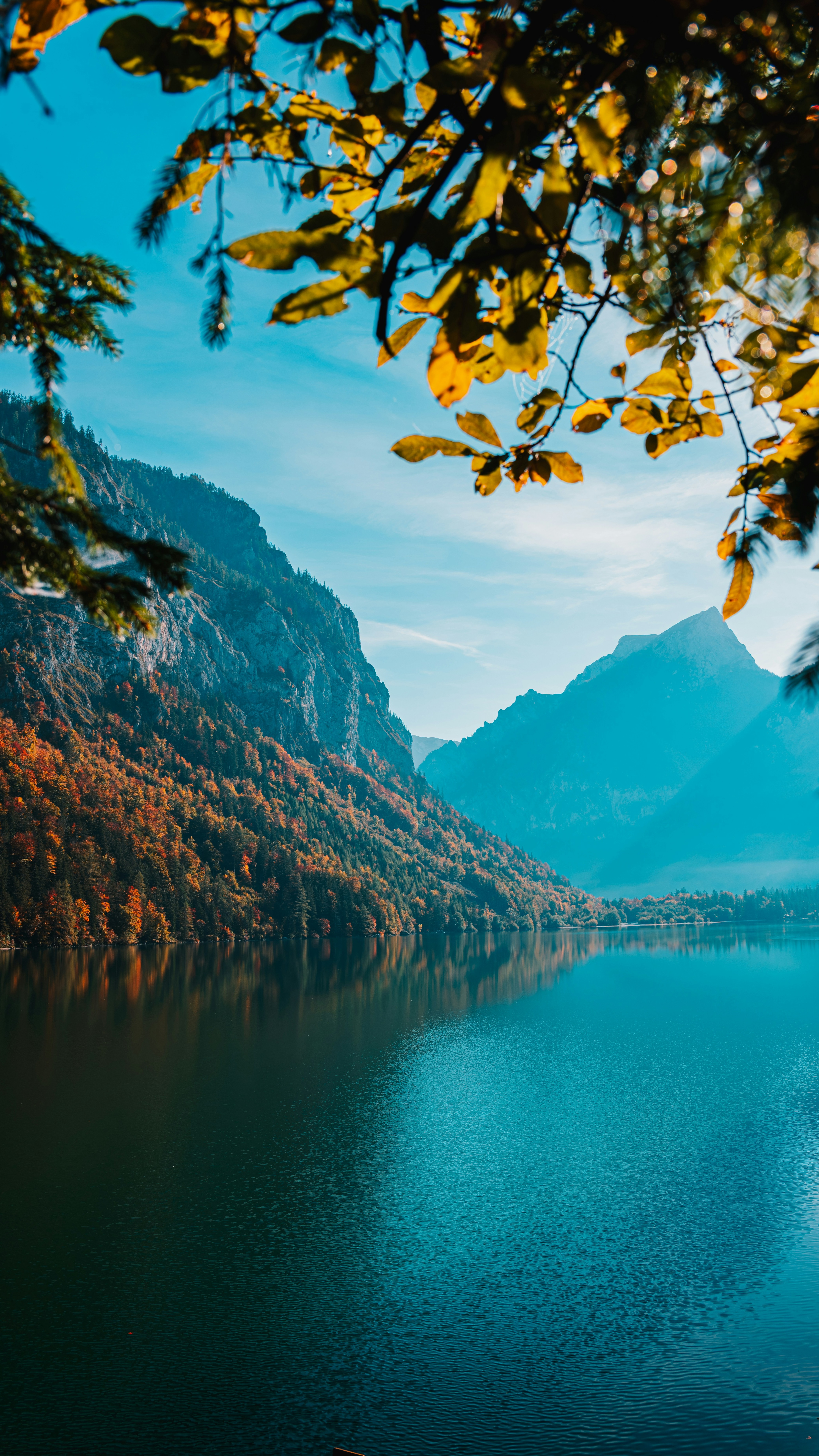Landscapes