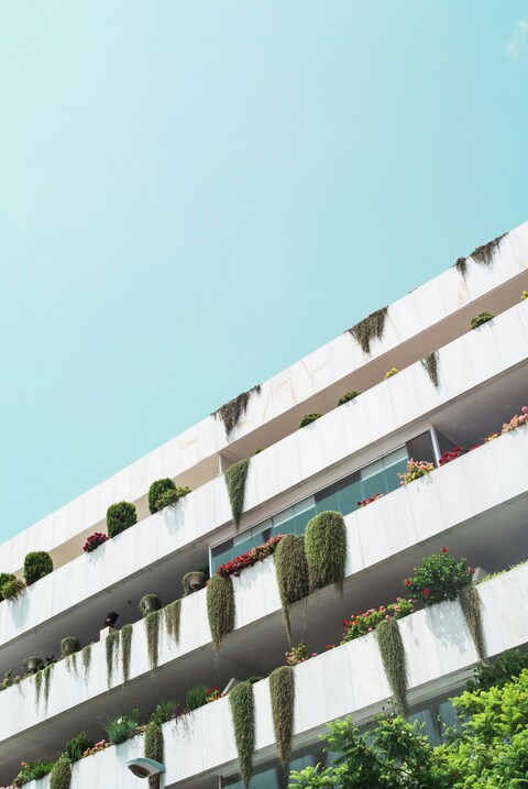 Plant-Adorned Balcony Building Under Blue Sky