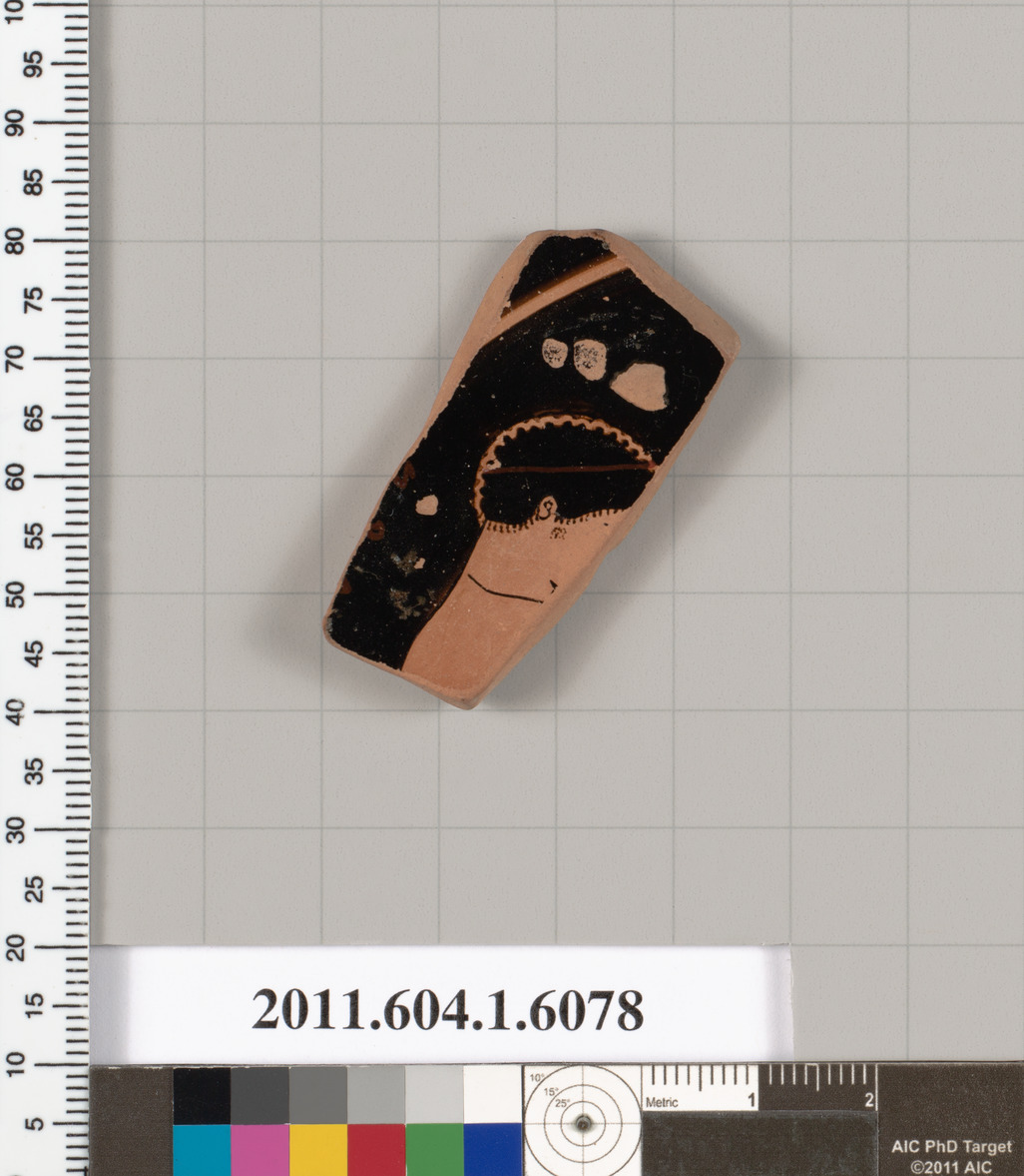 Ancient Pottery Fragment Specimen