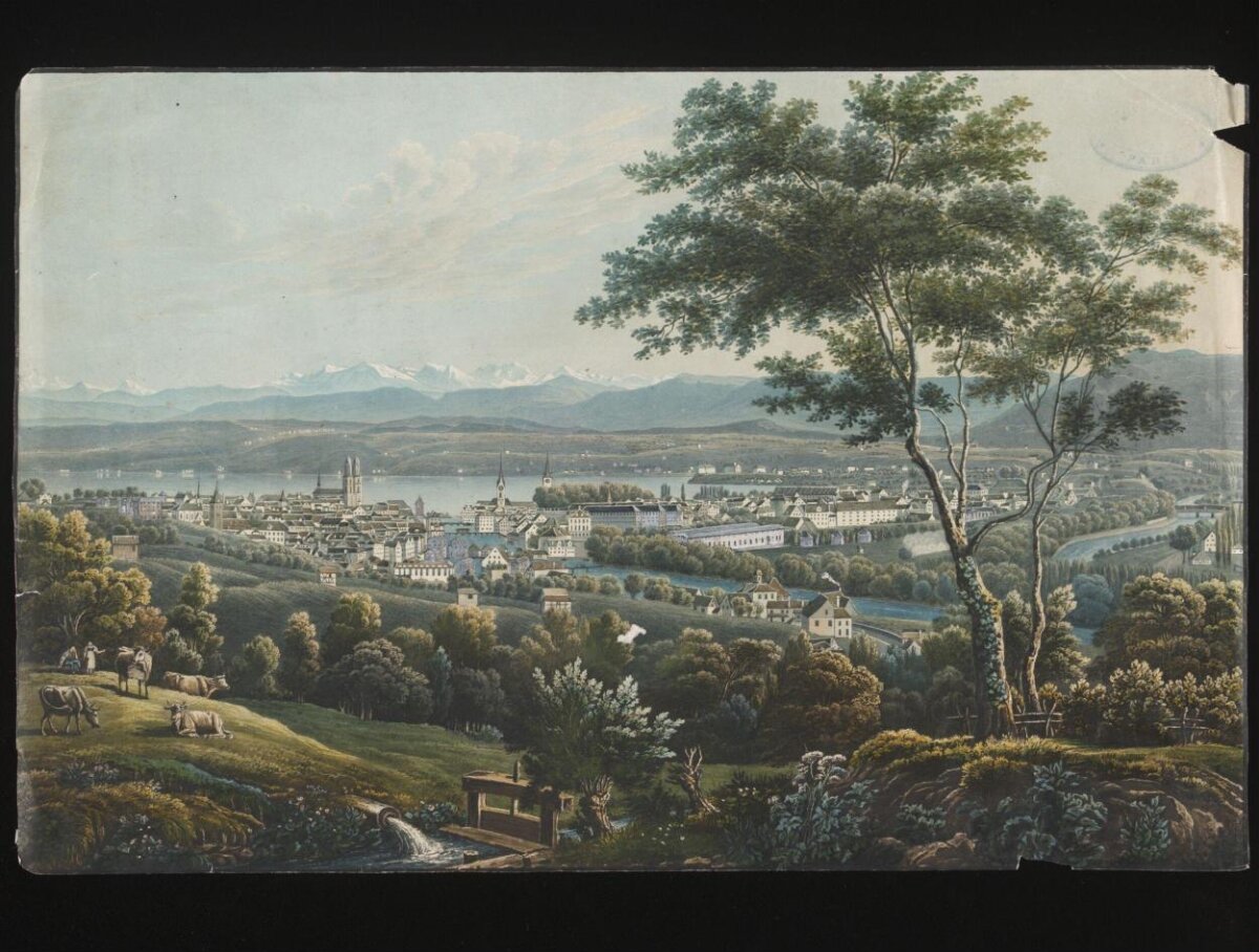 View of Zurich From Hillside — Scenery