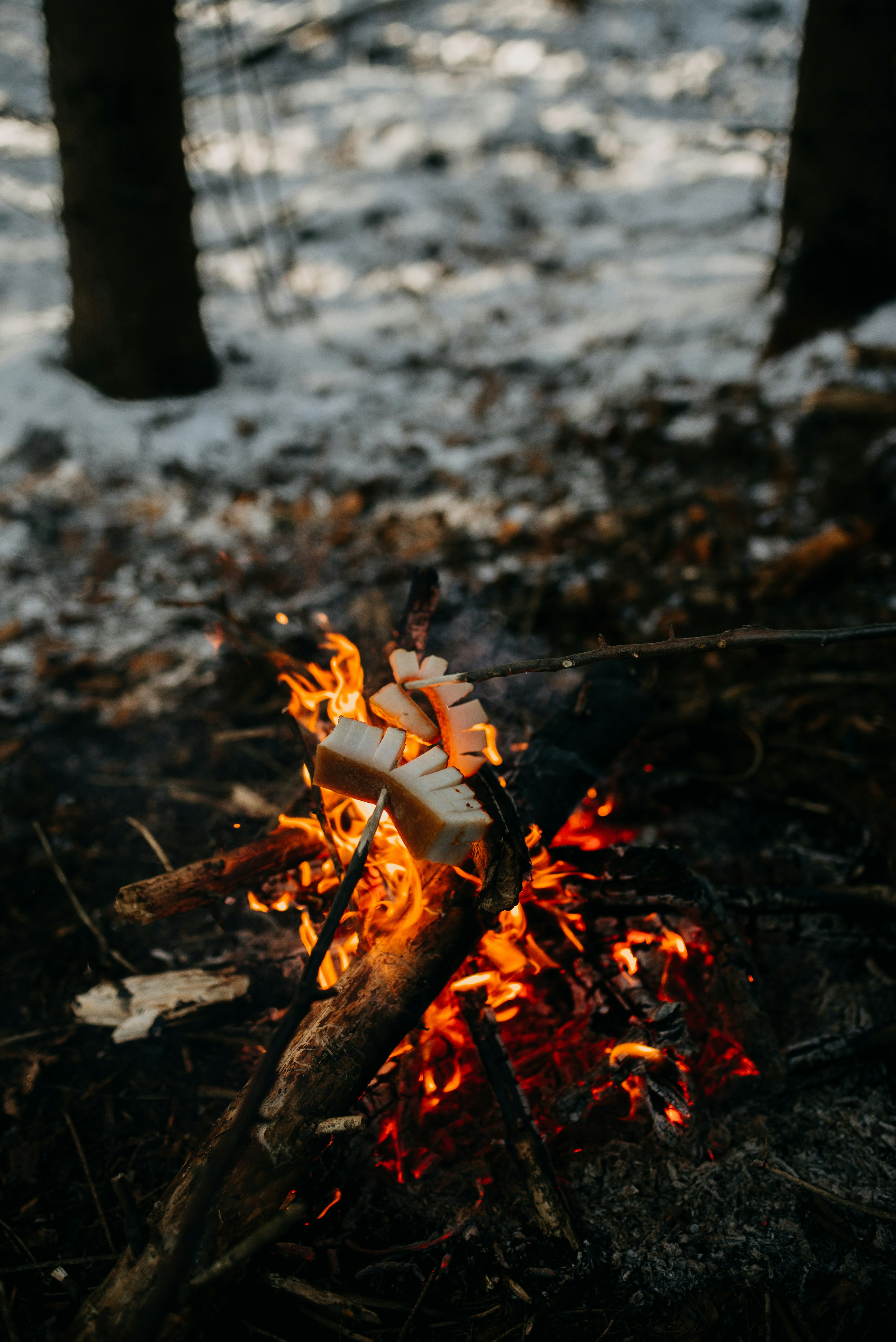 Campfire Roasting Food in Snowy Woods