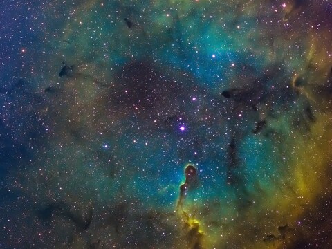 Elephant Trunk Nebula in Deep Space