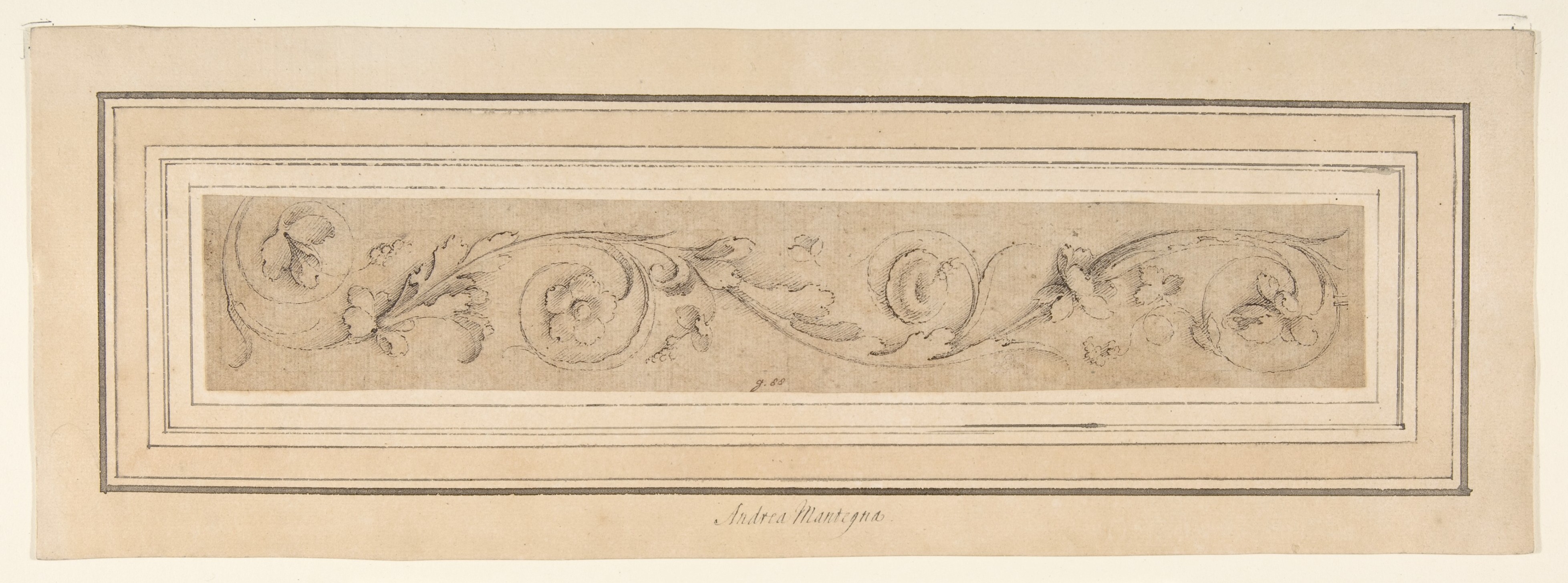 Andrea Mantegna Floral Scroll Sketch