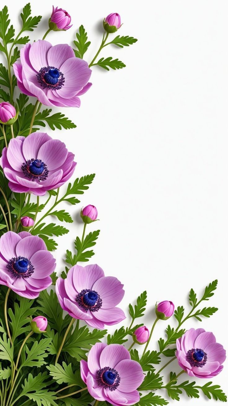 Wallpapers