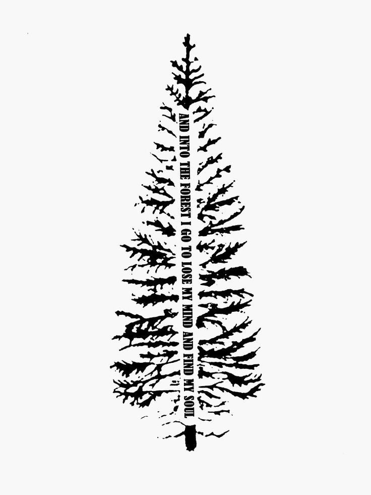 Pine Tree with Nature Quote