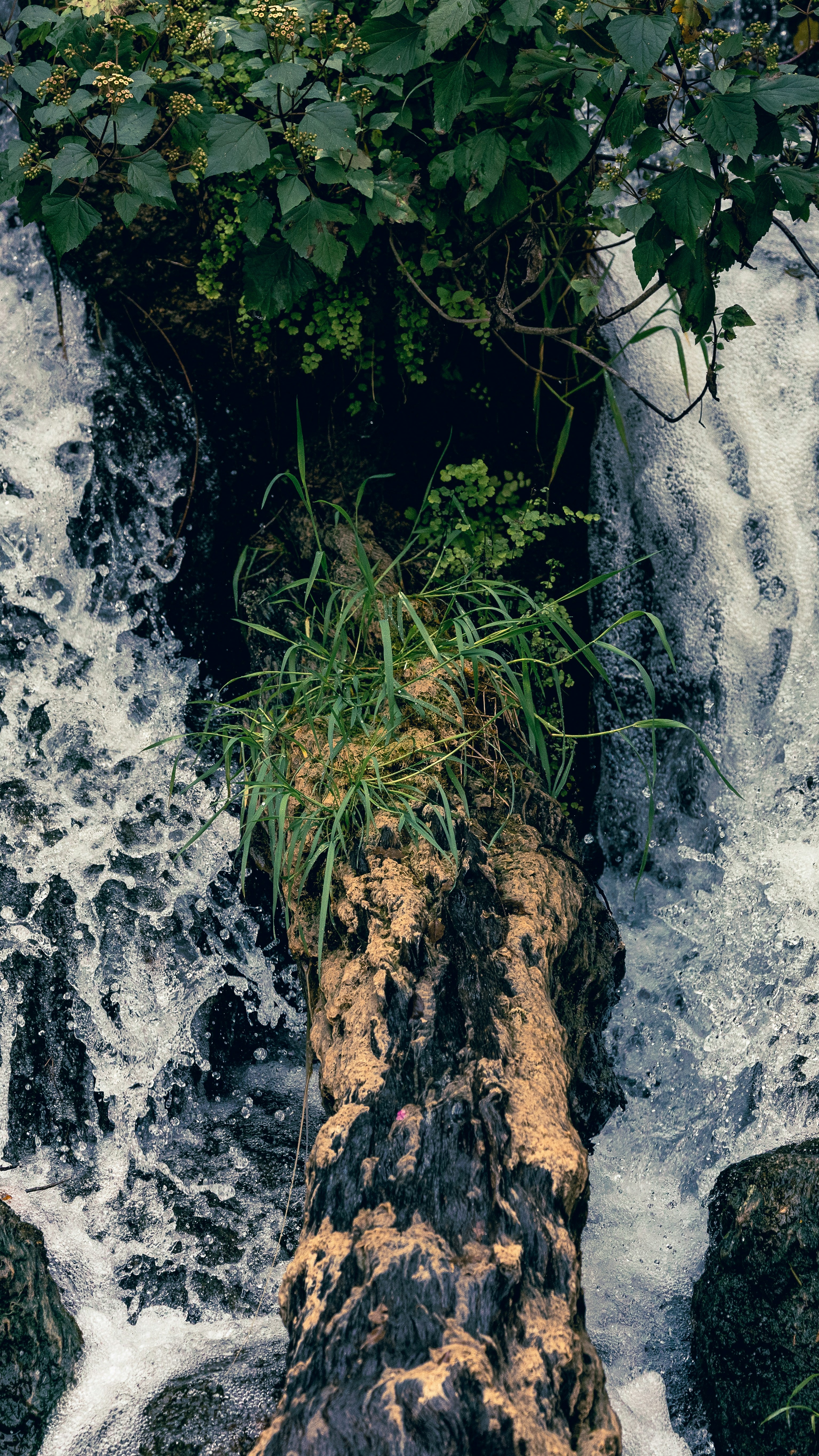 Wallpapers
