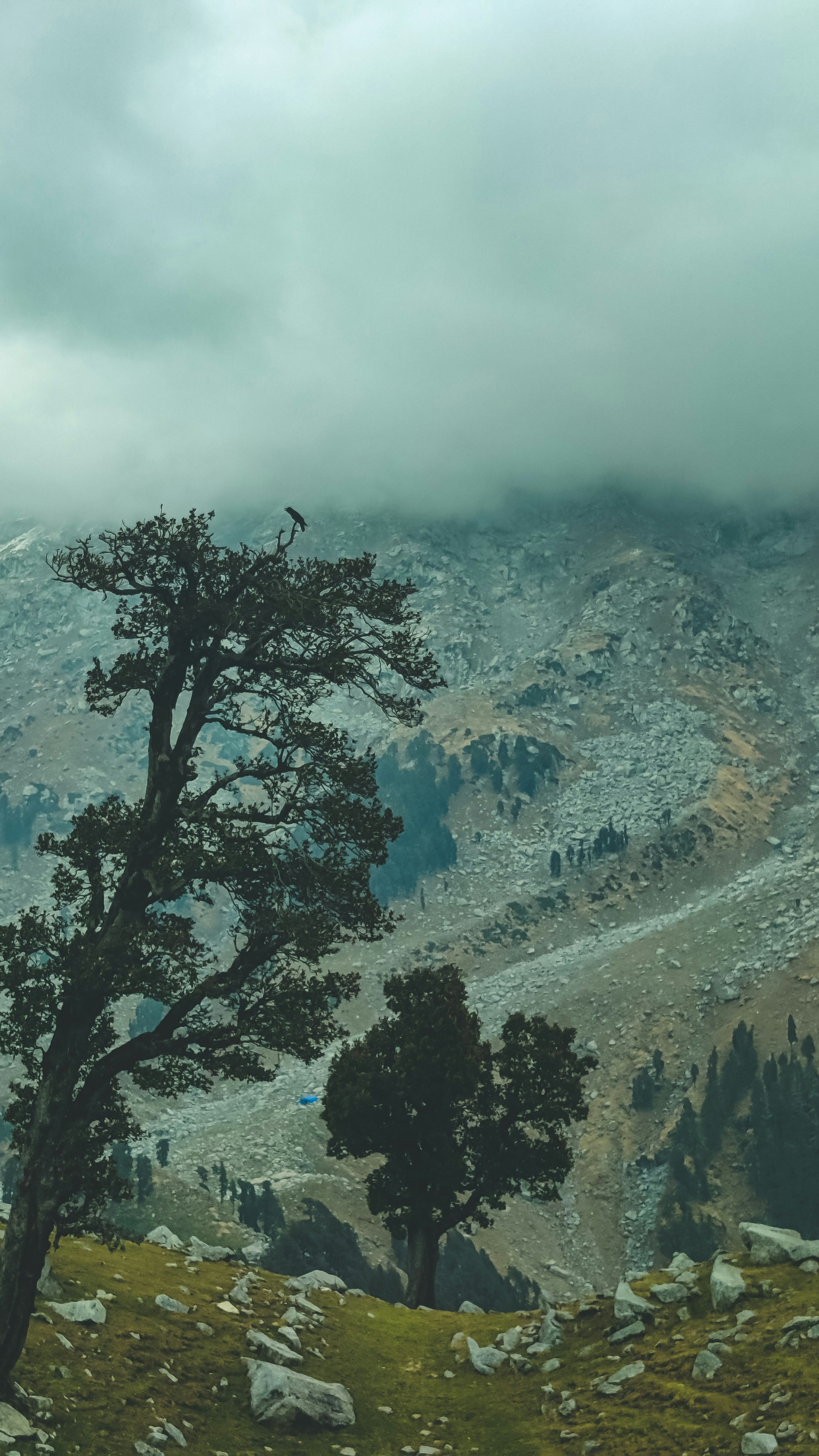 Landscapes