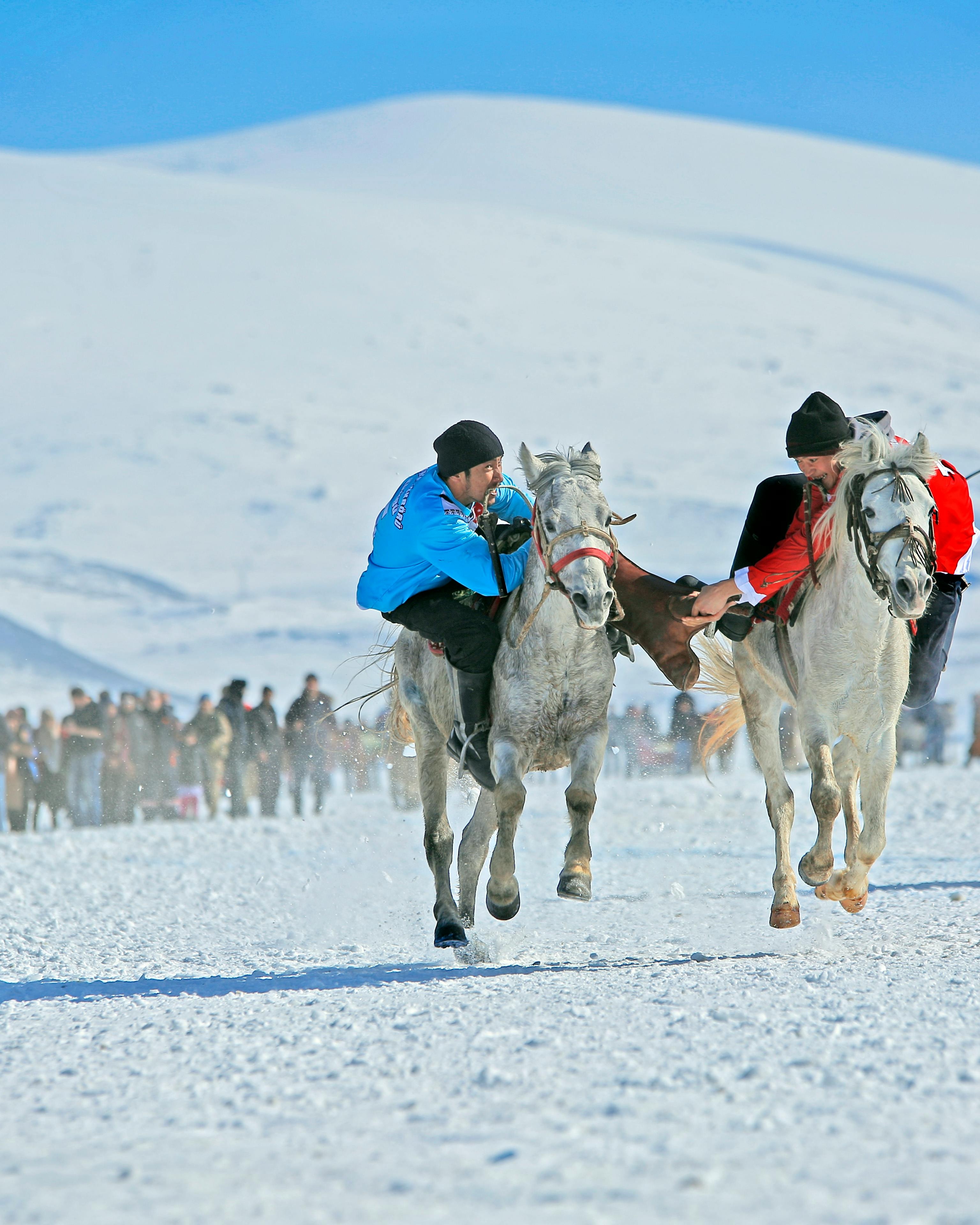 Horse Competition on Snowy Ground
