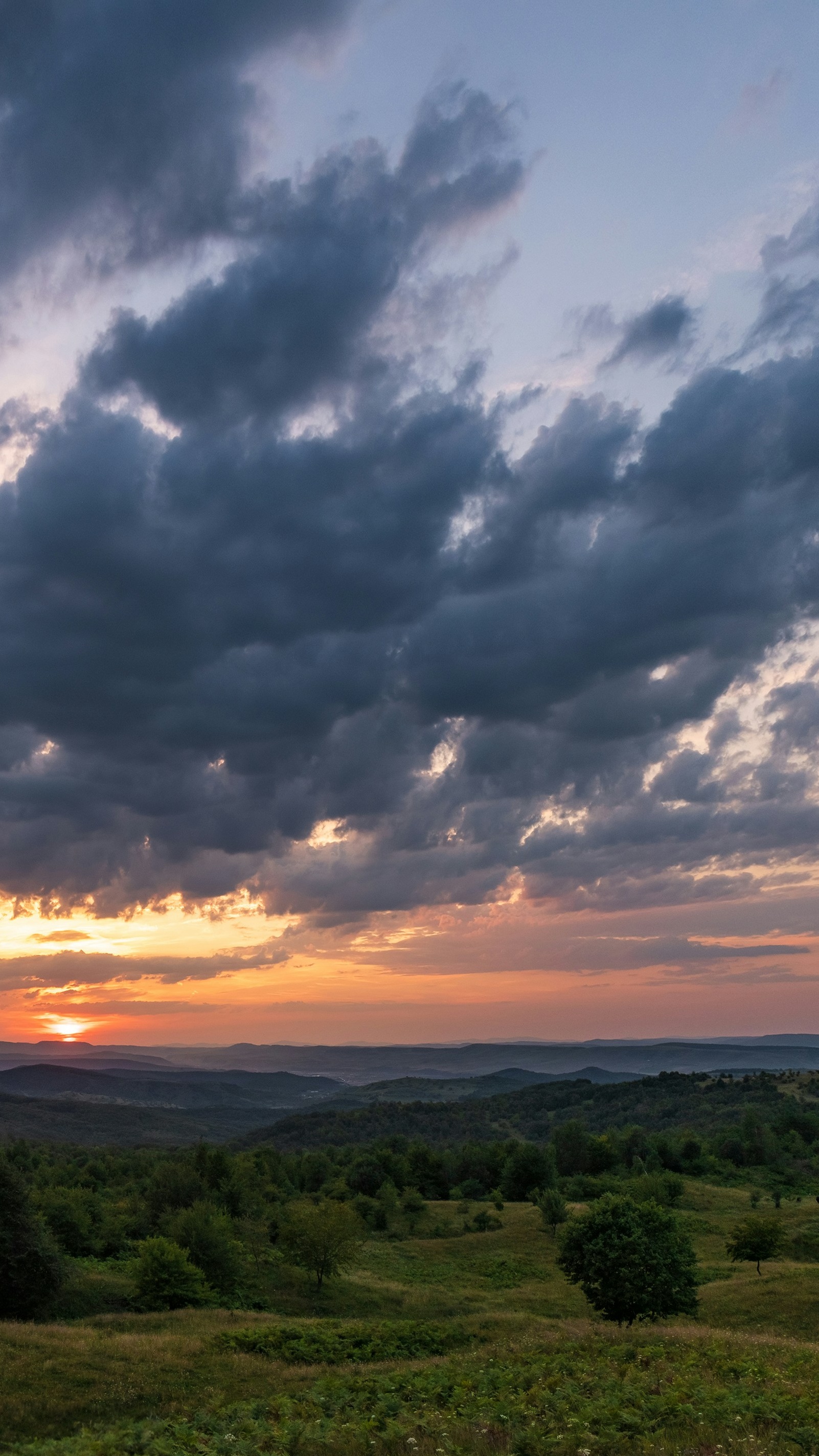 Landscapes