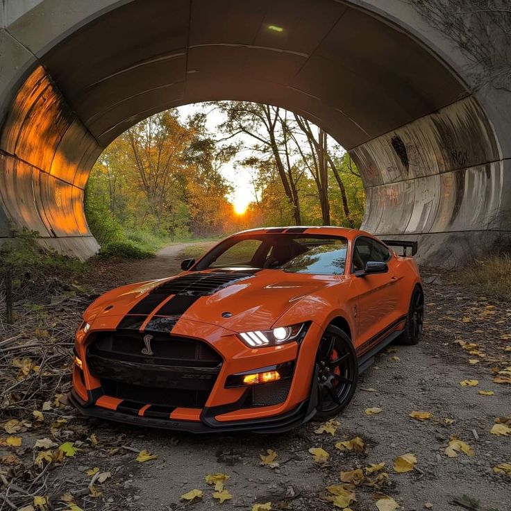 Image 14577 — Cars