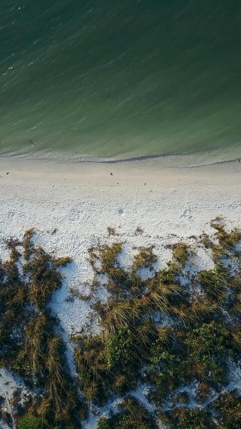 Aerial View of Beach Shoreline