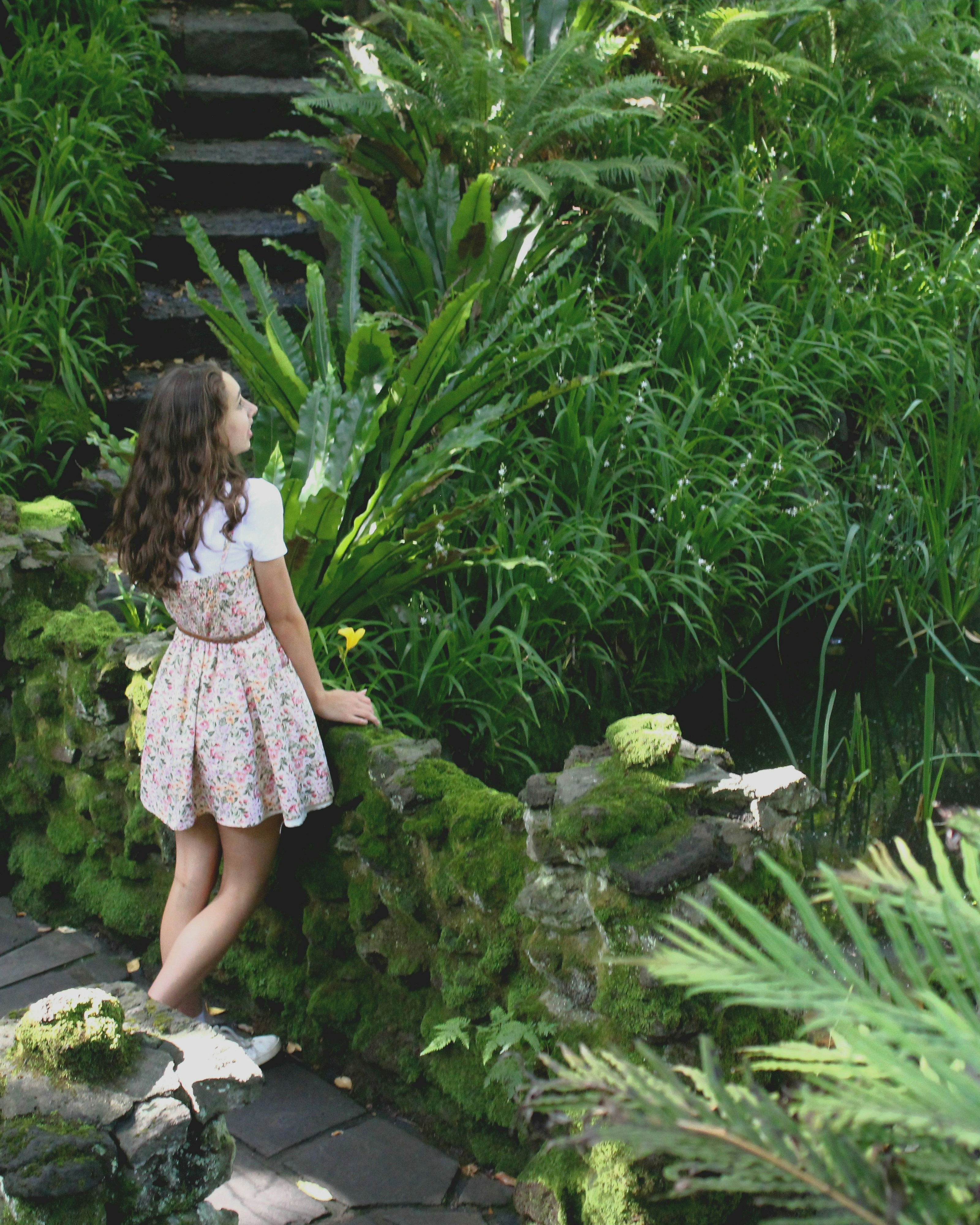 Forest & Flora