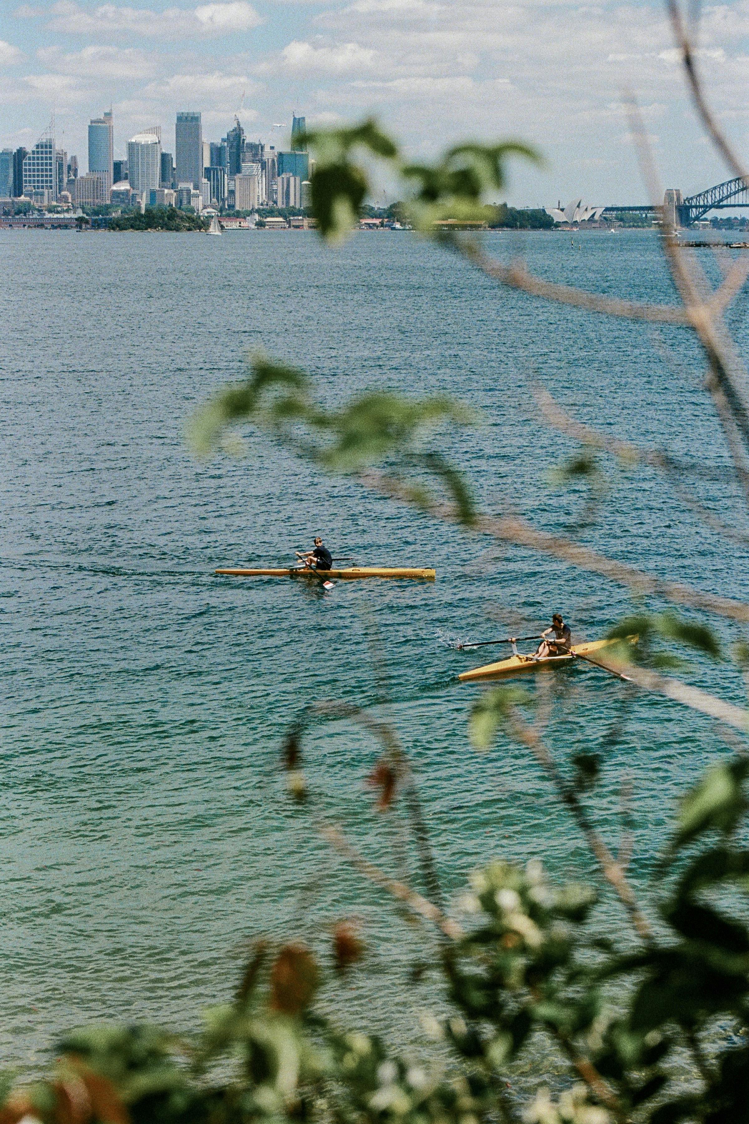 Image 1619062 — Art