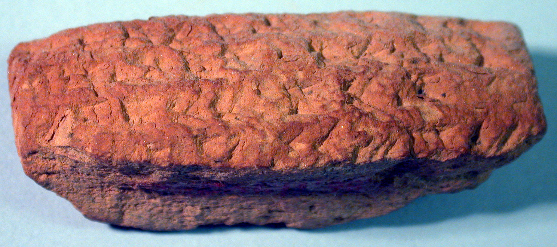 Rough Red Brick Close-up