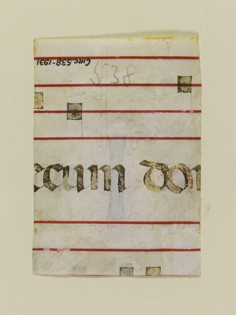 Medieval Latin Manuscript Fragment