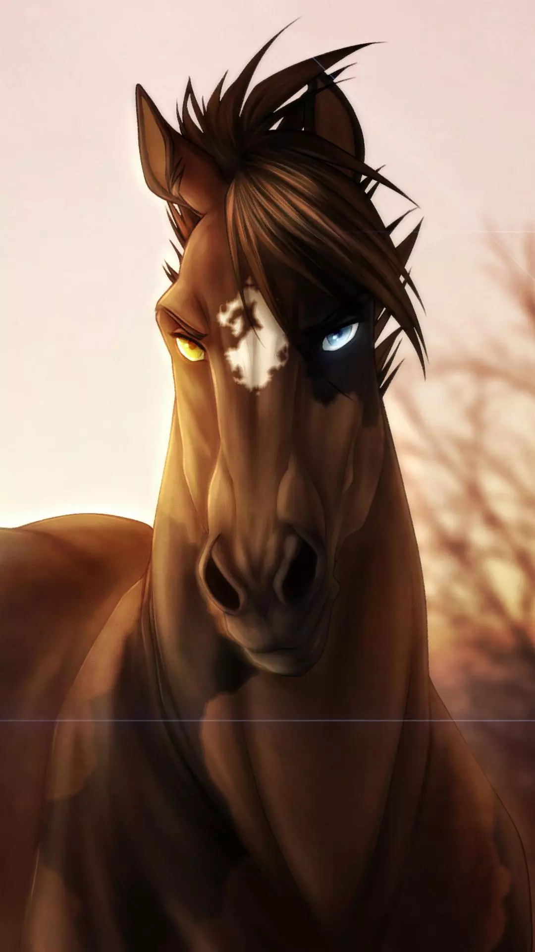 Wallpapers