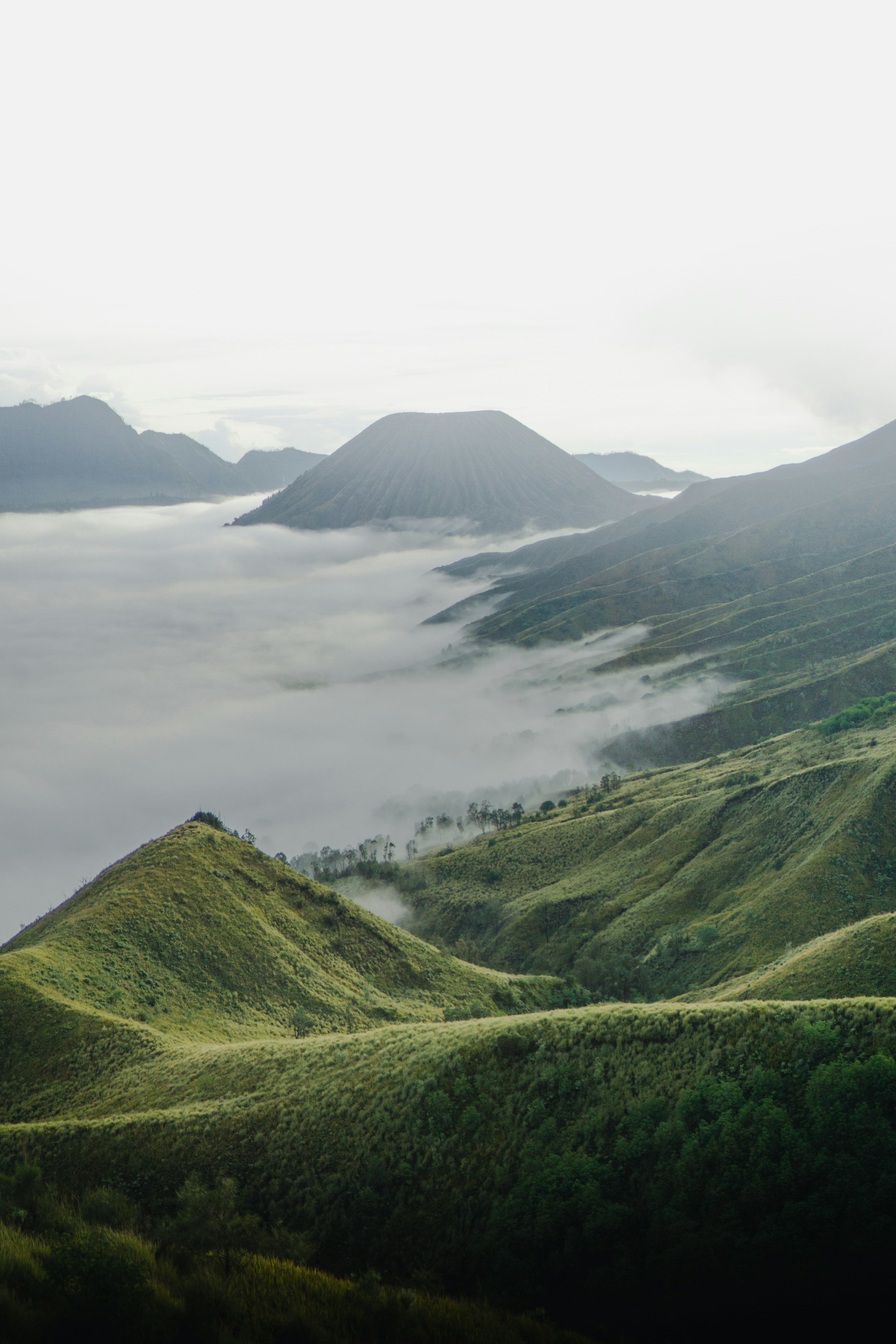 Volcanic Mountains Above Sea of Clouds