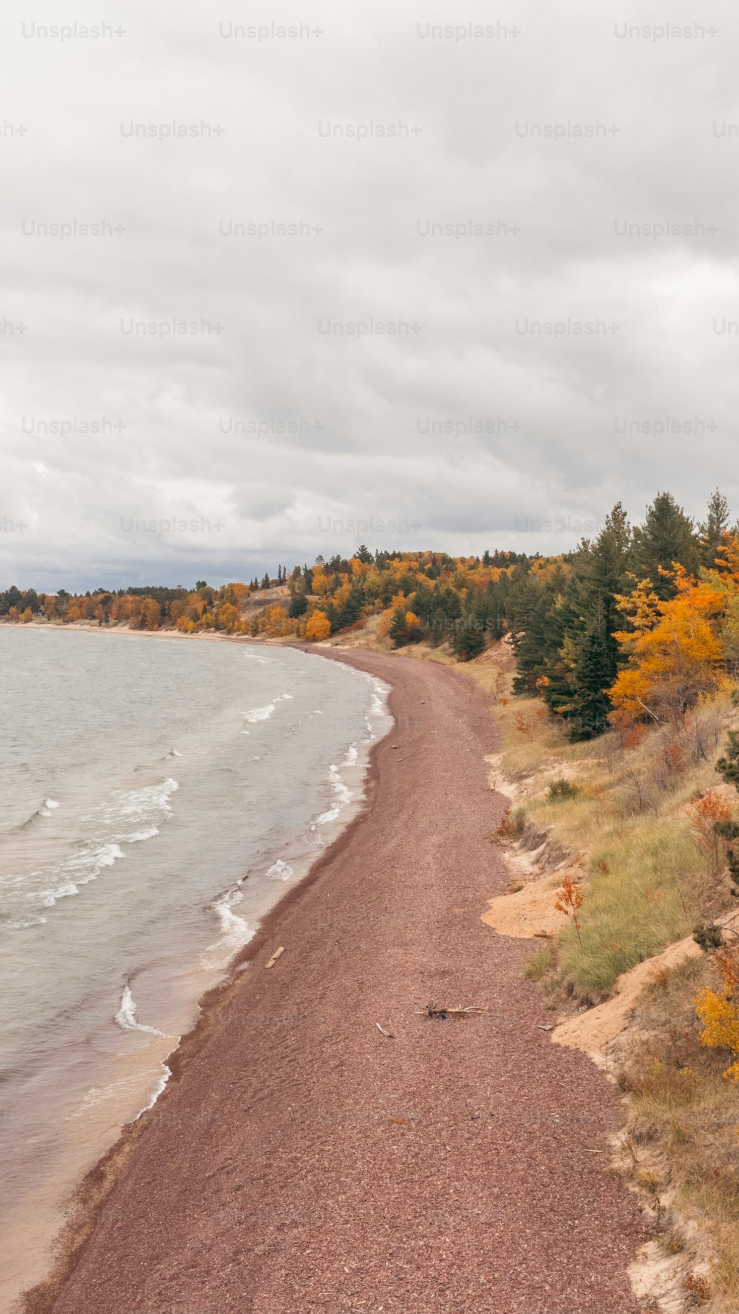 Image 1529898 — Nature