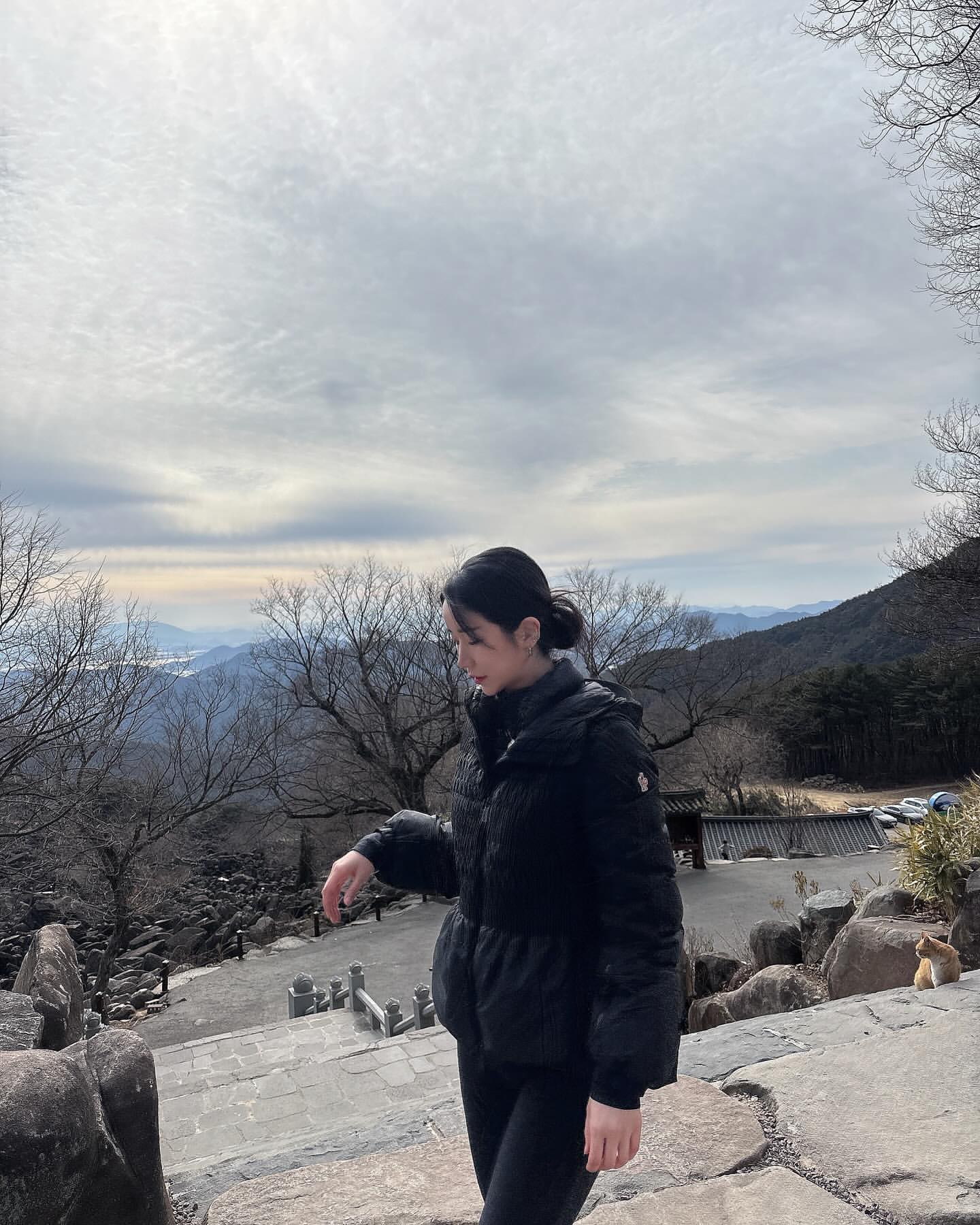 Landscapes