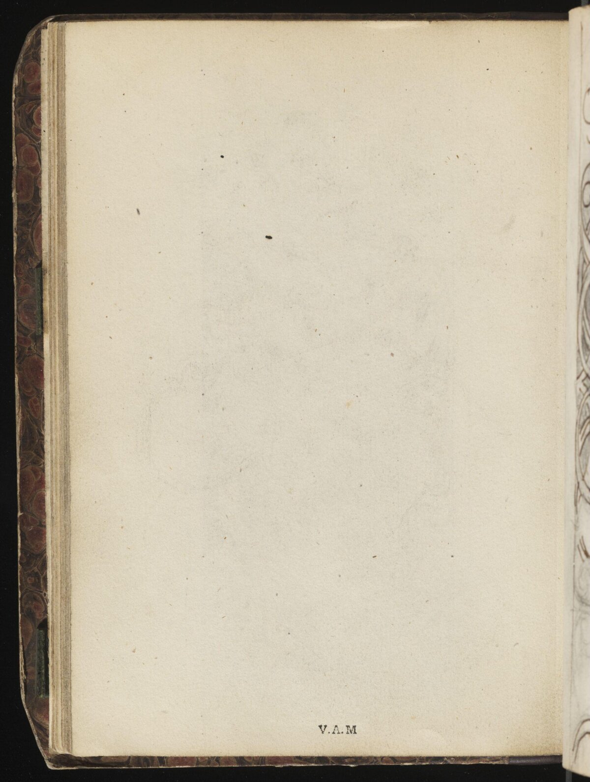 Blank Page of an Old Book