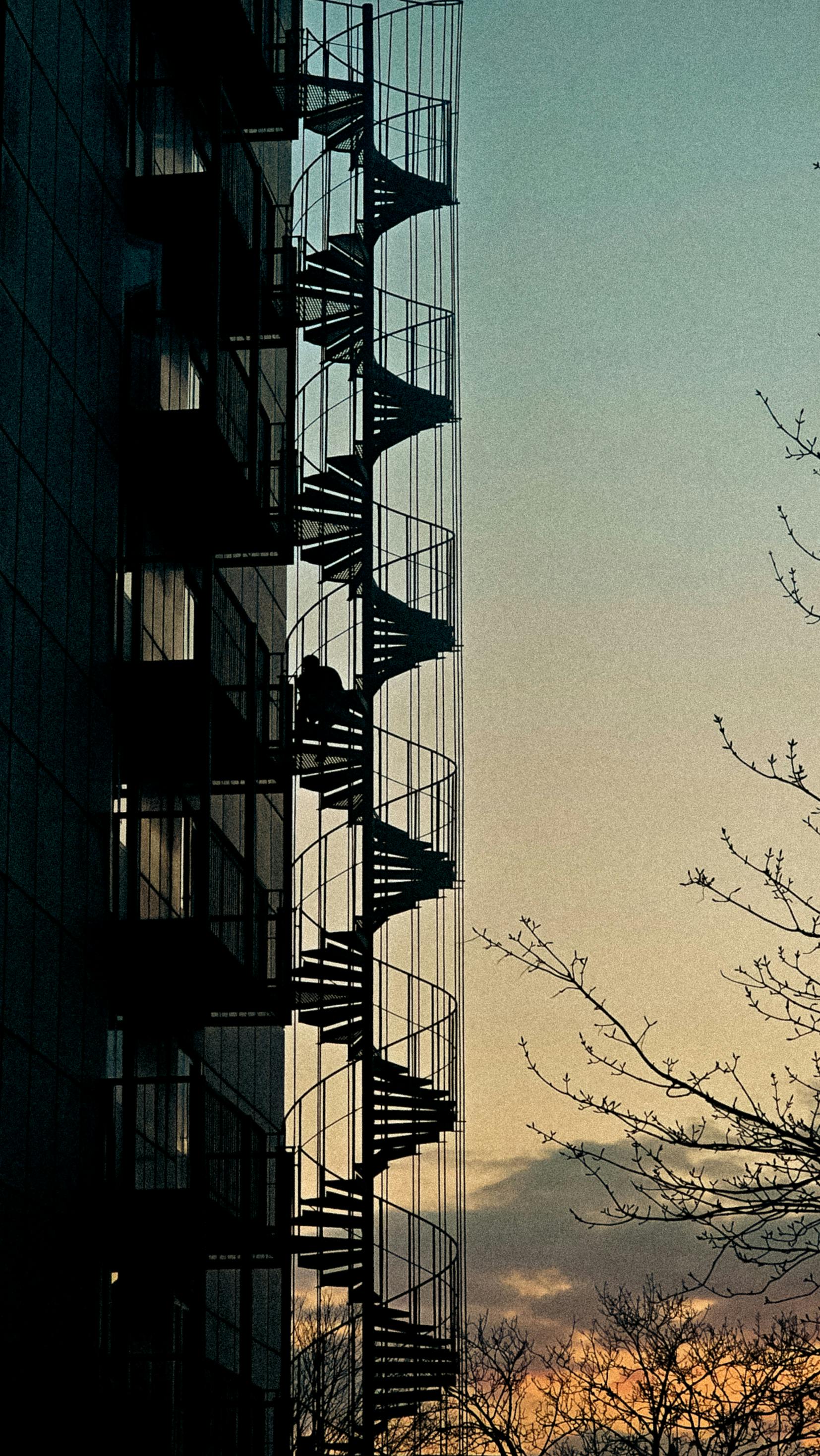 Image 1623044 — Illustrations