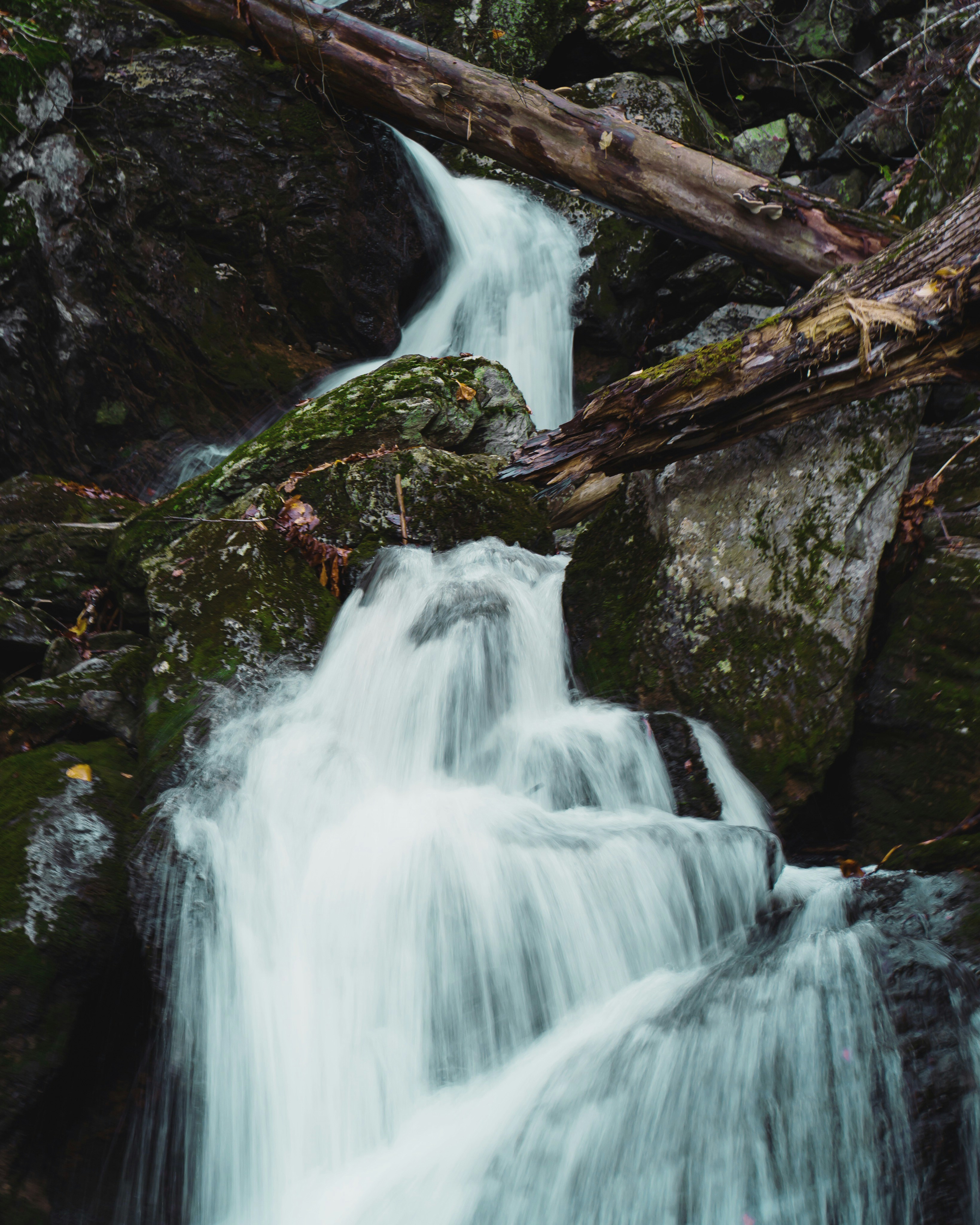 Tiered Waterfall in Forest