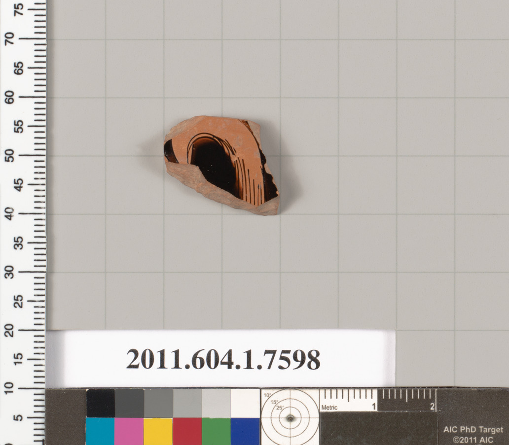 Ancient Pottery Fragment Specimen