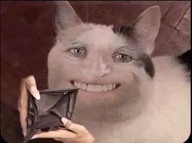 Human-Faced Cat Holding Empty Wallet