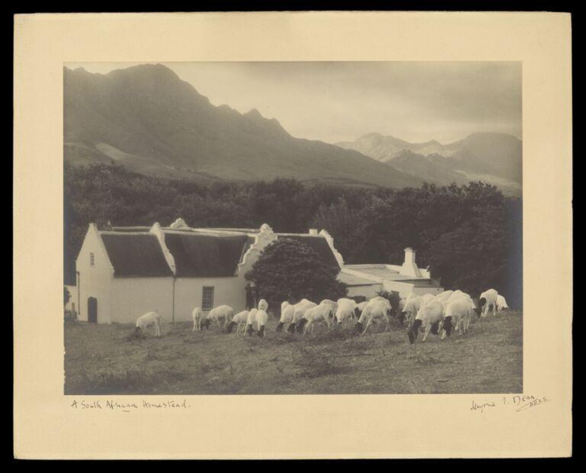 A South African Homestead