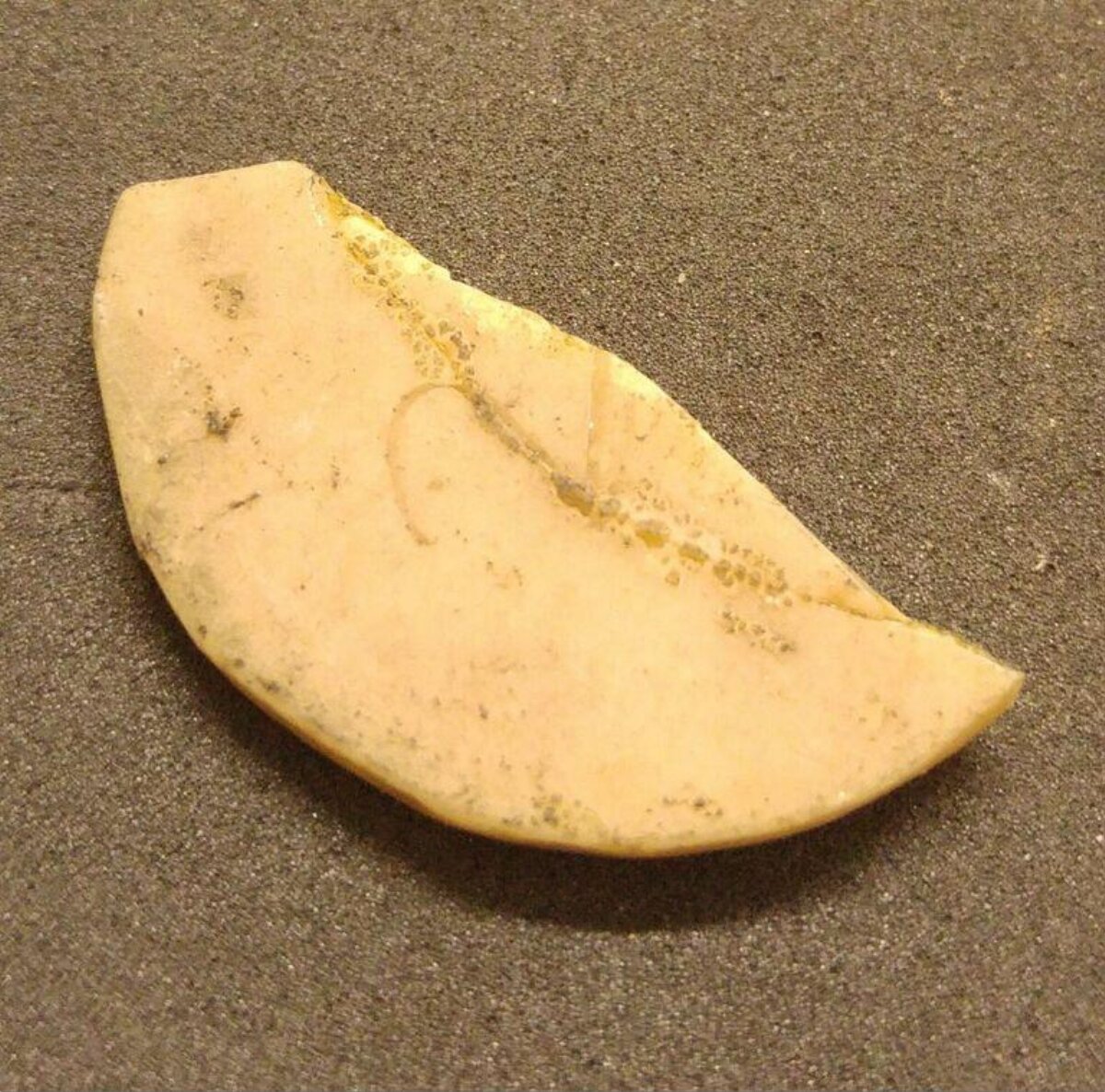 Crescent Shaped Stone Artifact Fragment