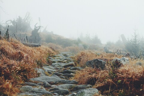 Foggy Mountain Stone Path